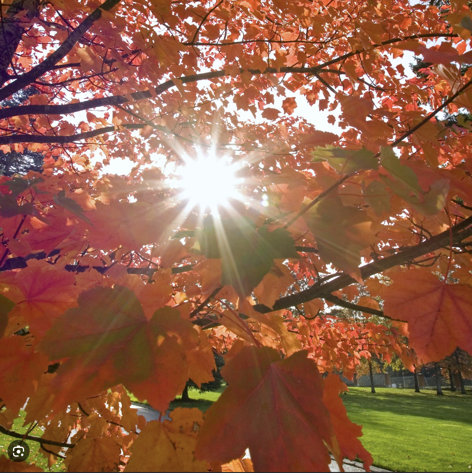 Fall Equinox Ceremony