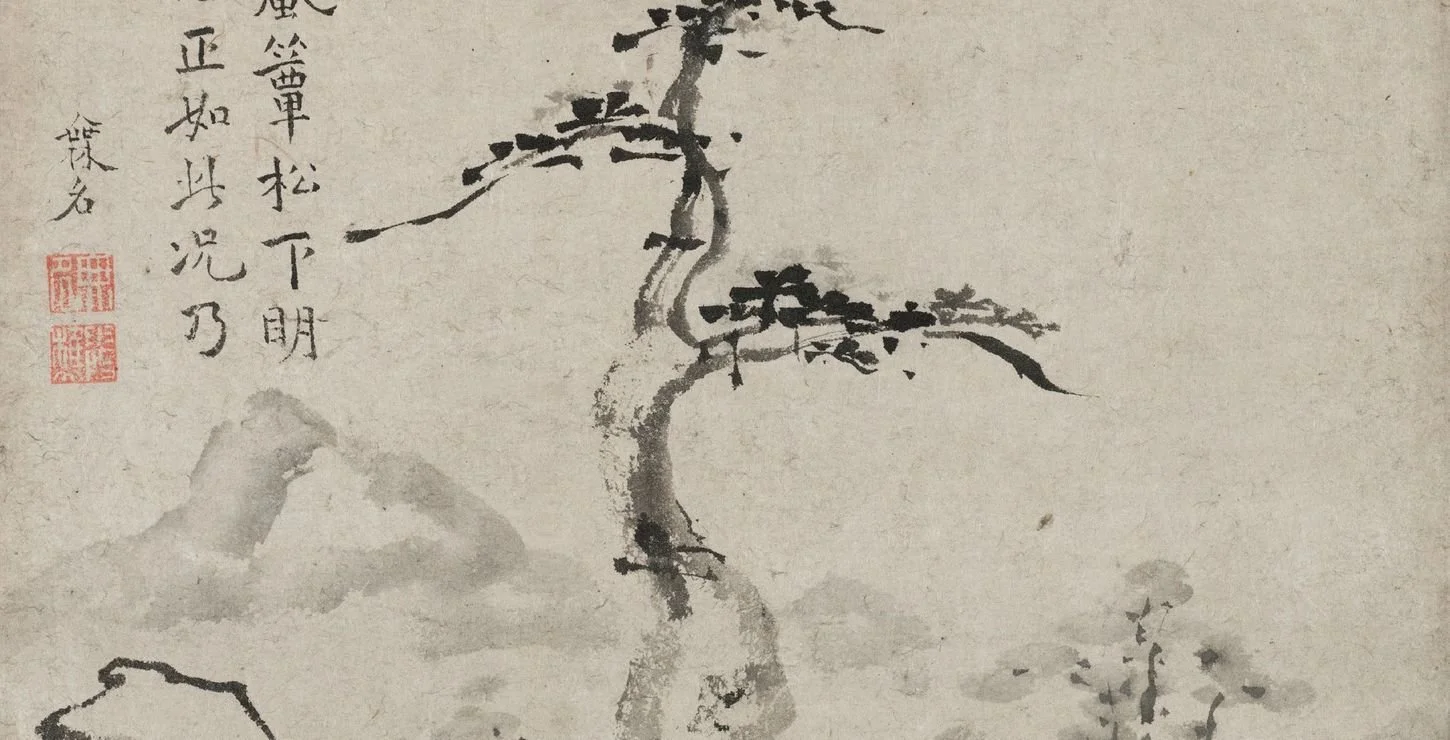 Half Day Sit - January 17