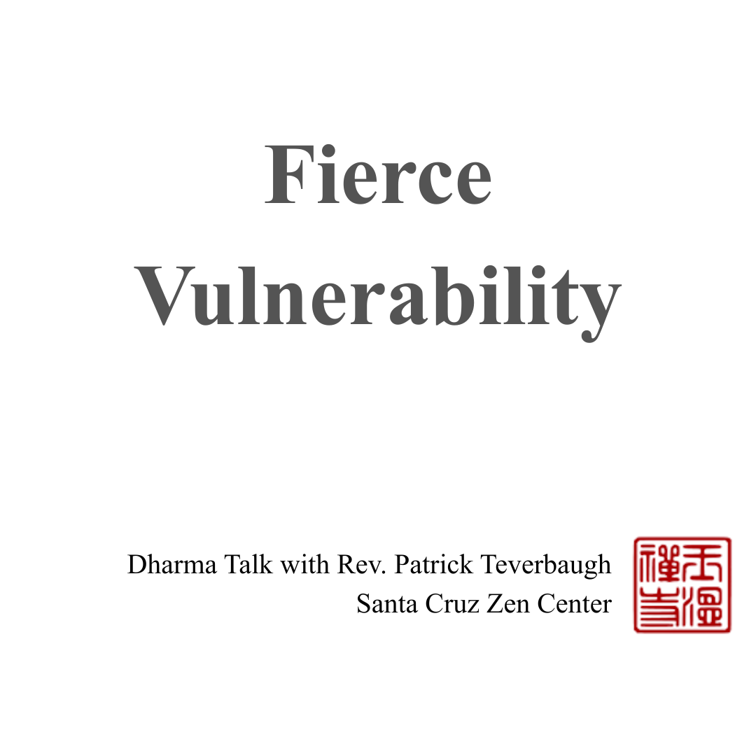 Fierce Vulnerability.png