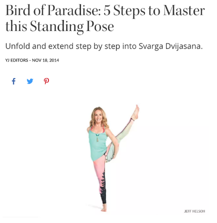 bird of paradise.png