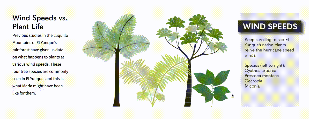 InteractiveVideo_Biodiversity_Aftermath.gif