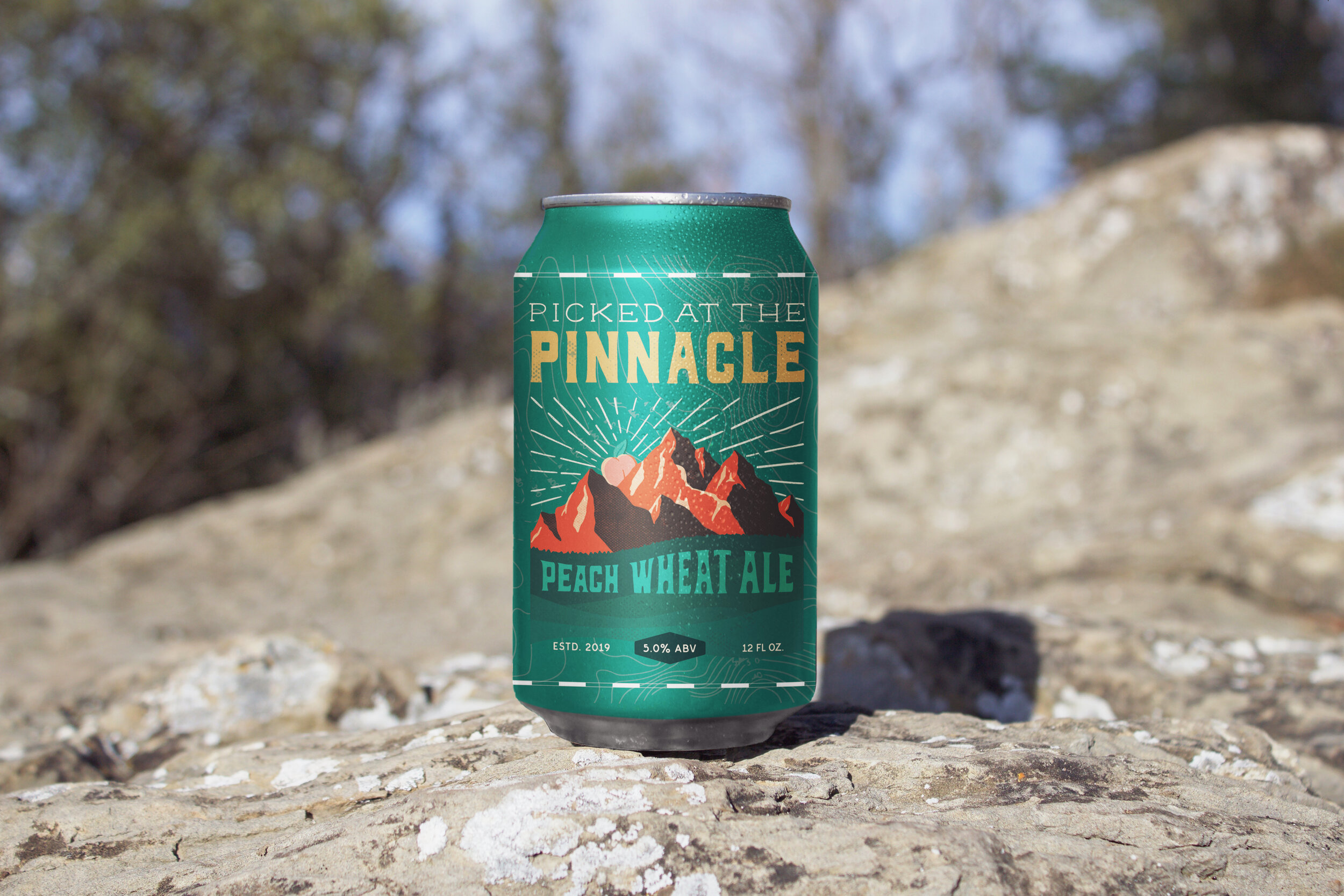 PINNACLE_CanMockup.jpg