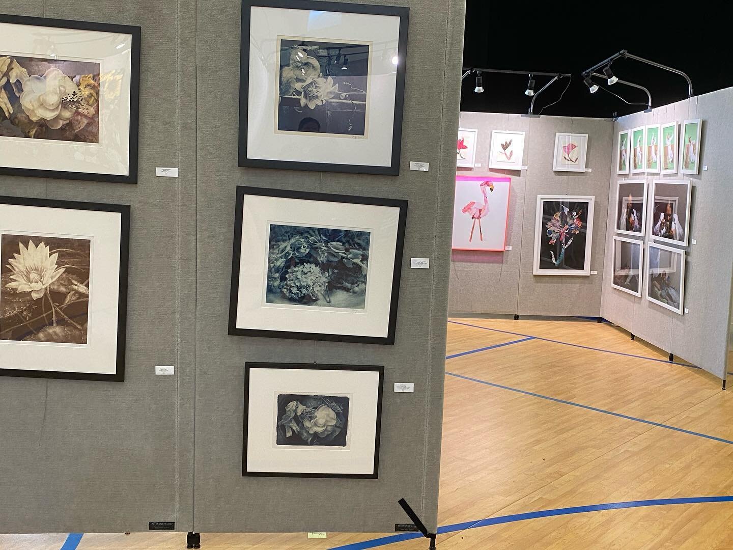 A Vision for Art is slowly taking shape, today is your last day to buy tickets for this amazing event. We have over 400 works of art from 40 artists from around the country. We are so thankful for all the hard work from our committee and volunteers. 