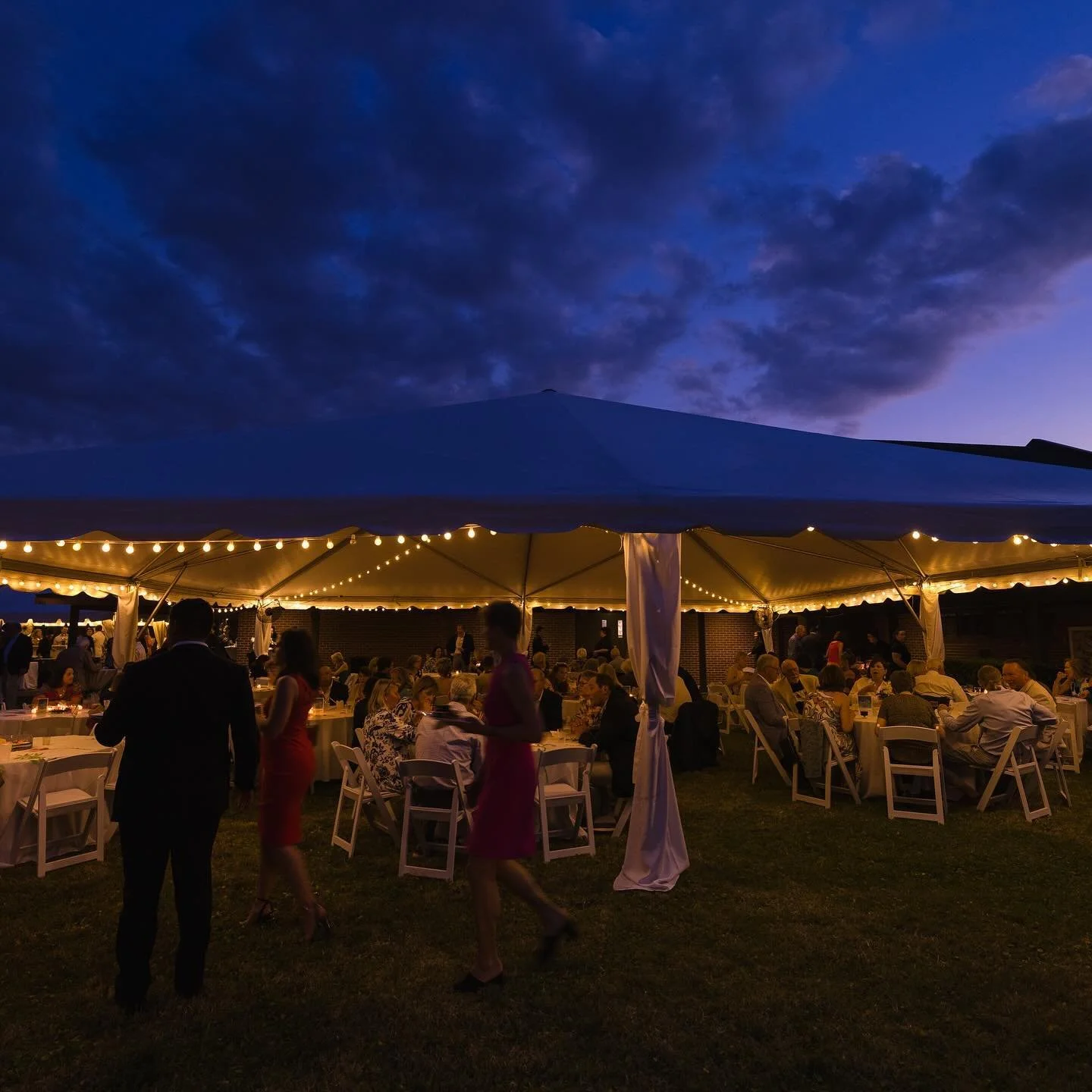 Opening Night V I B E S! Thanks to @chefsgardenevents @allabouteventsjax @rubyredsfloral and our wonderful event planning committee for taking care of all the special details that kicked off A Vision for Art! 
📷 Laura Evans