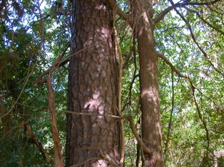 S11-01.jpg