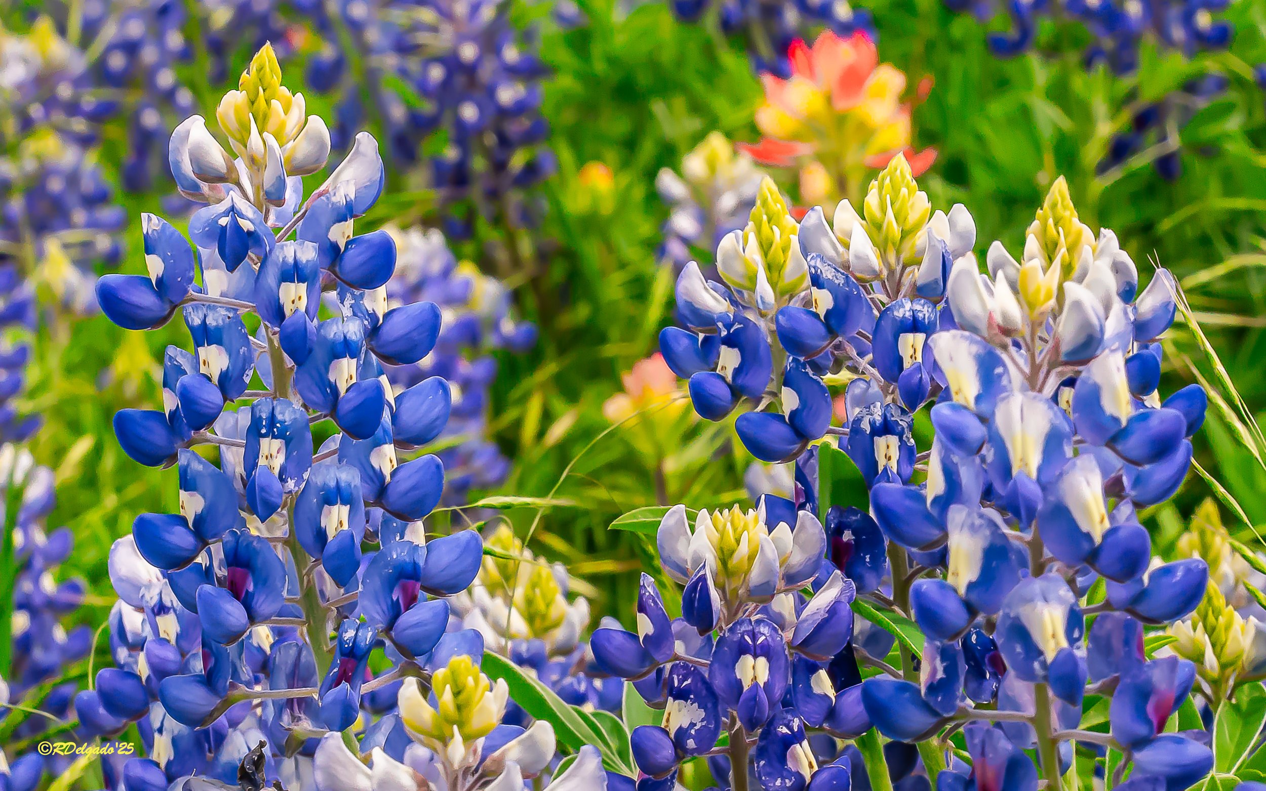 Focus your mind on beginnings and endings