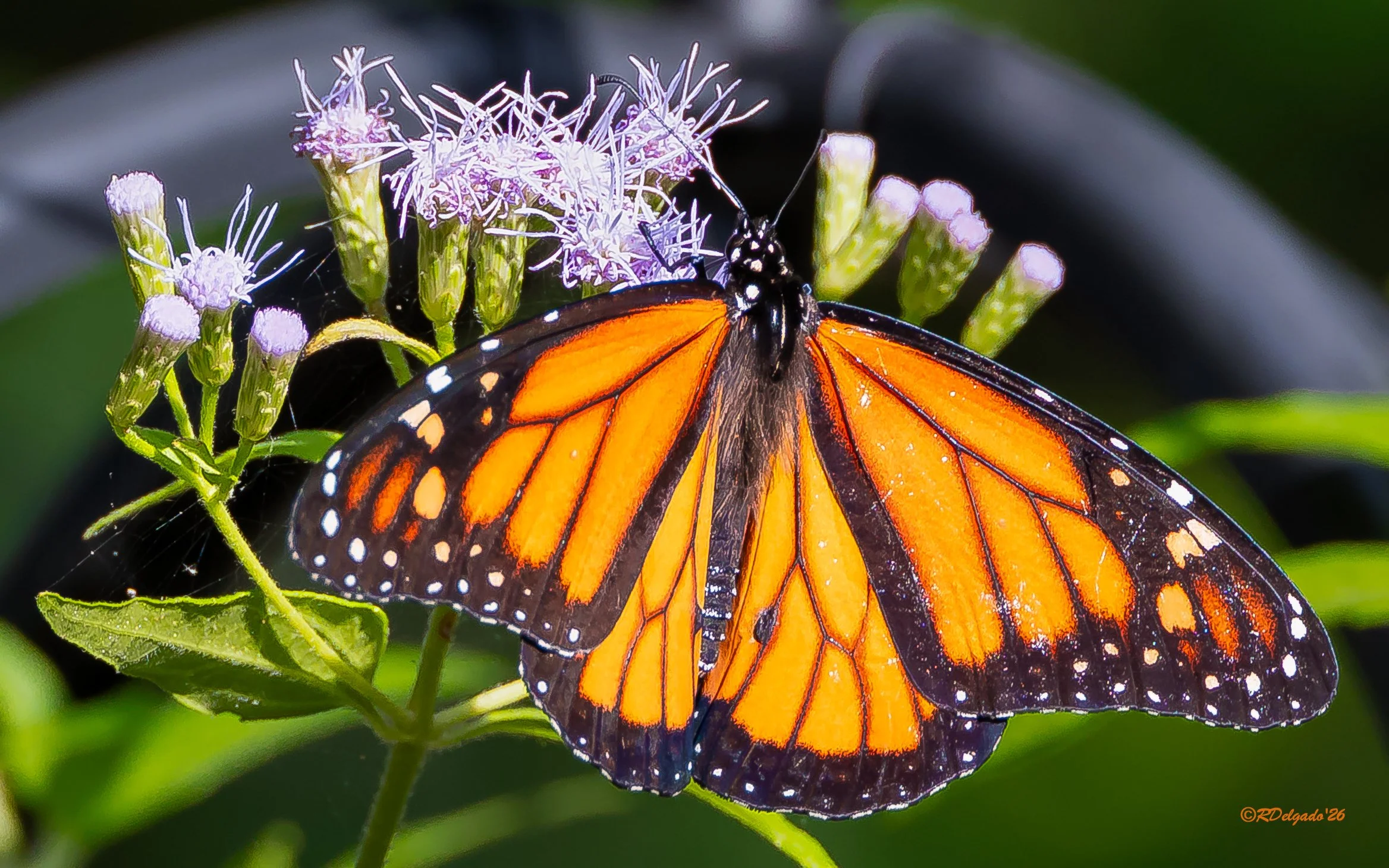 Each Small Change Is Contributing To A Greater Transformation