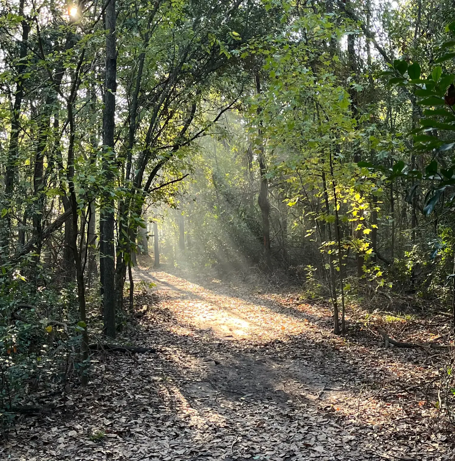Tour Stop 25: Wellness at The Lorraine Cherry Nature Preserve