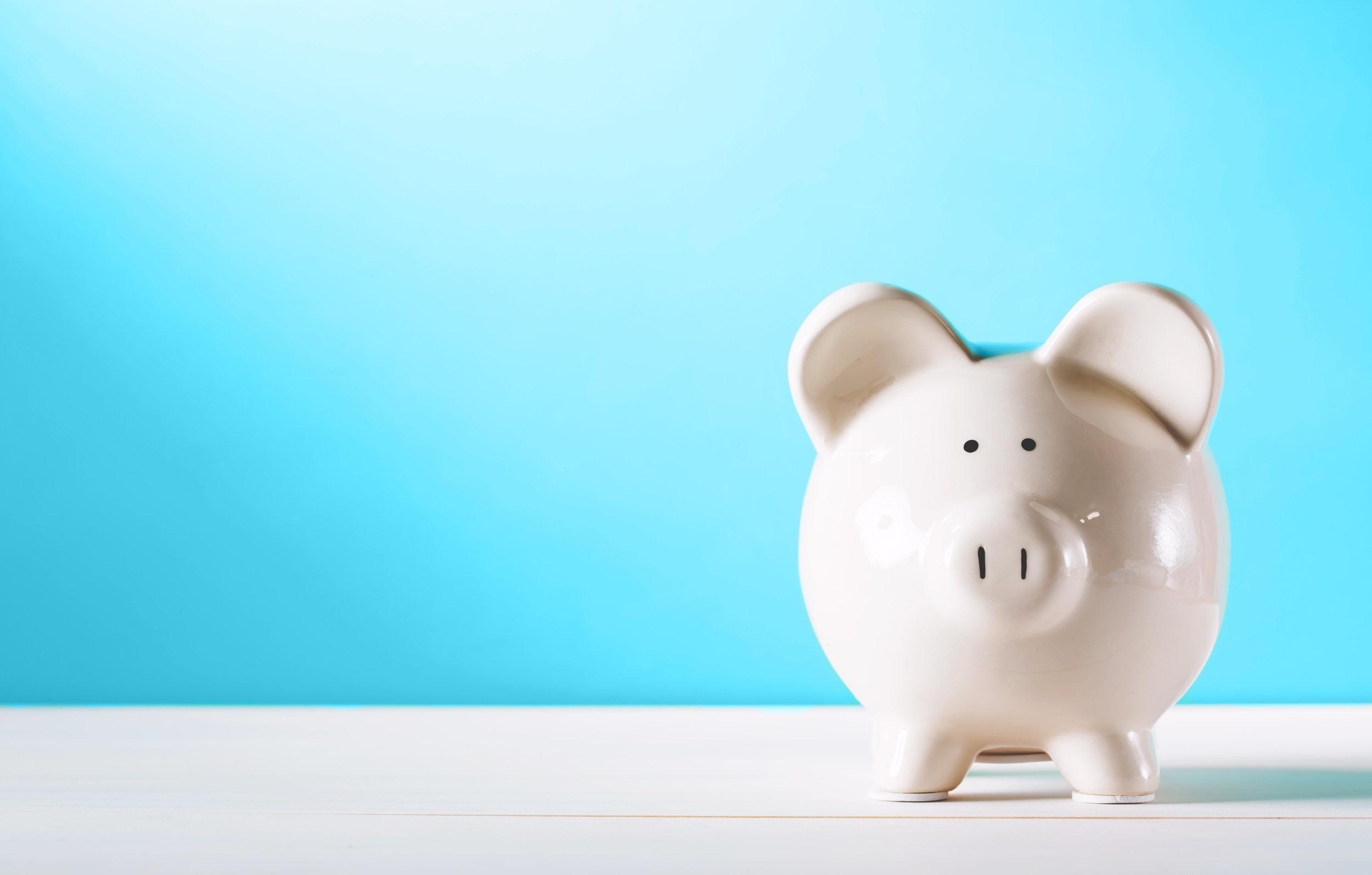 GigPig Banner Pig.jpg