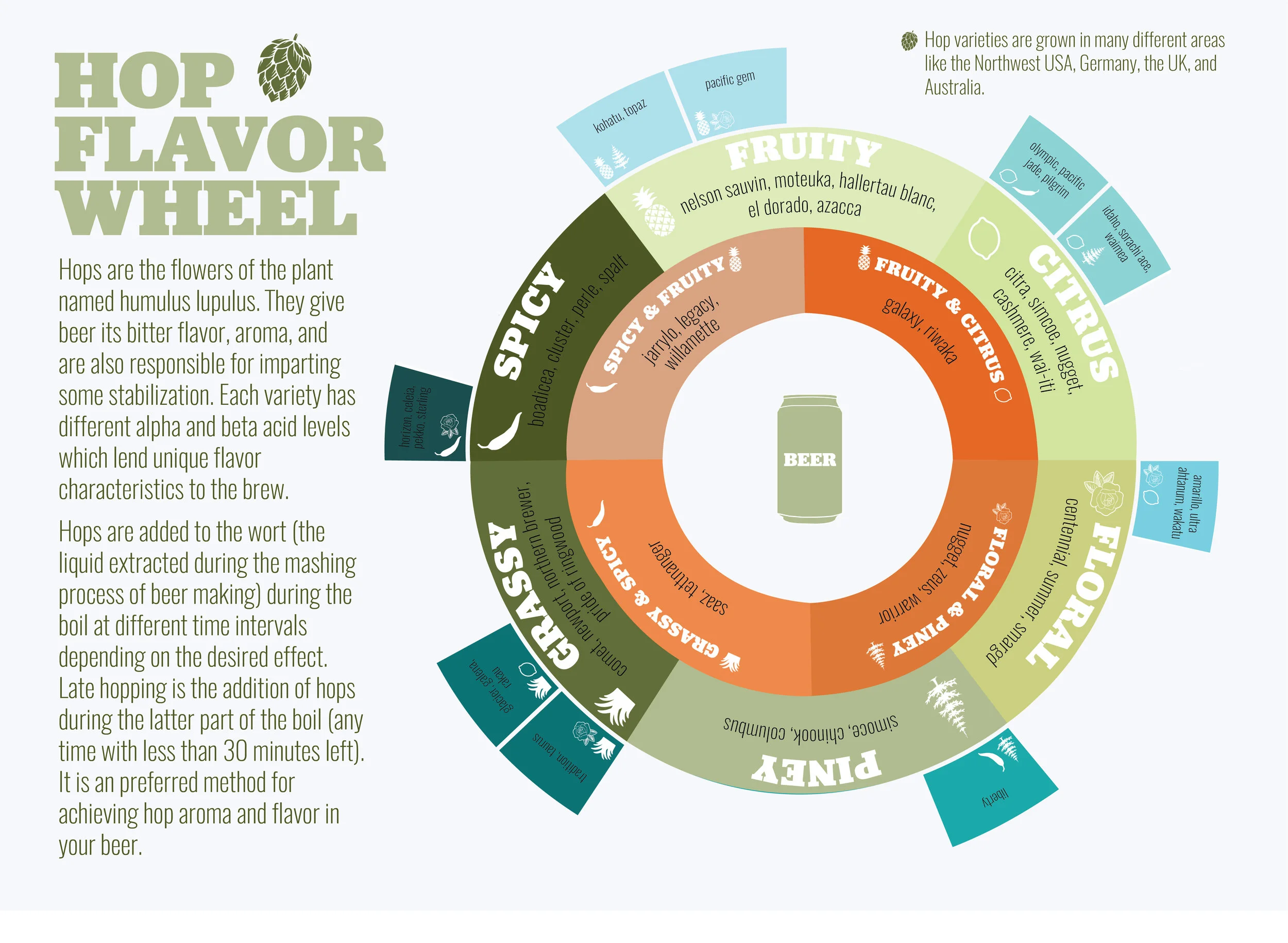 hopflavorwheel.jpg