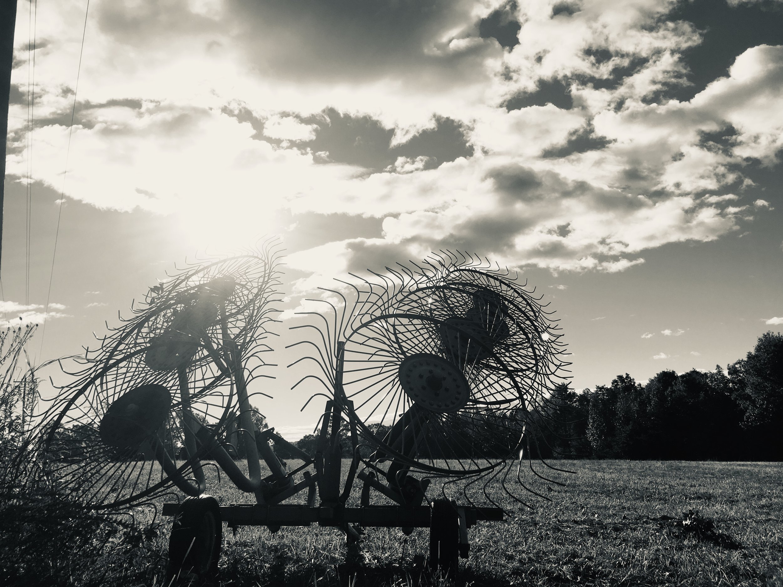 Hay Tedder: Gladstone, VA 2018