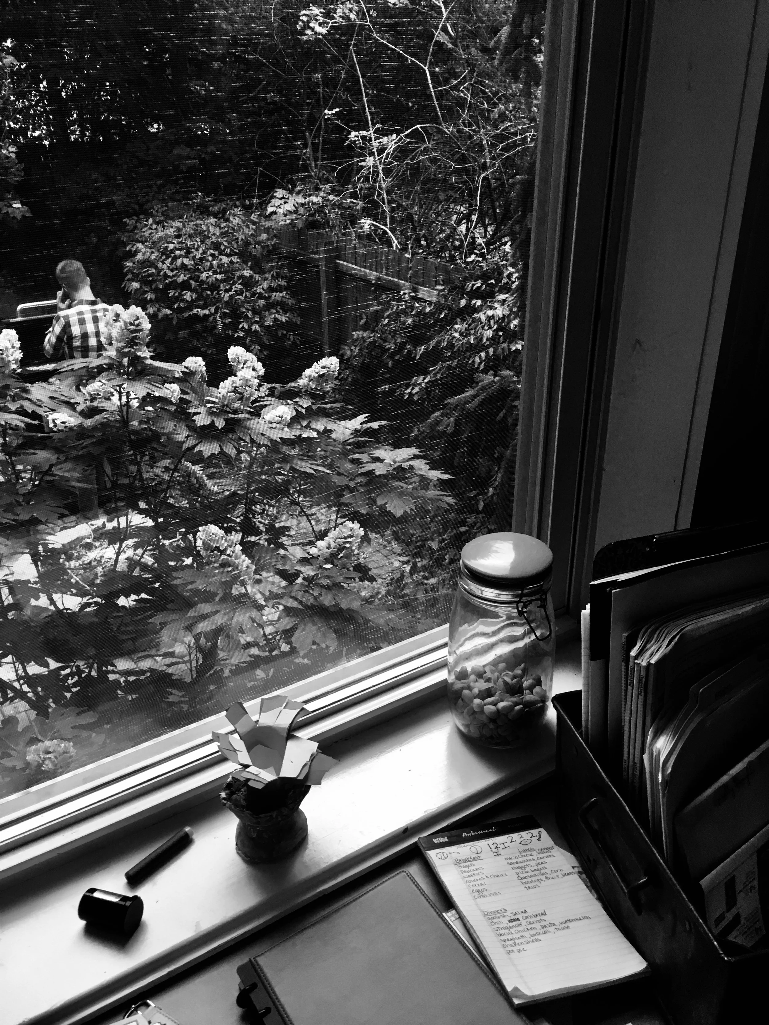 Business Call [Josh], Chicago IL 2018