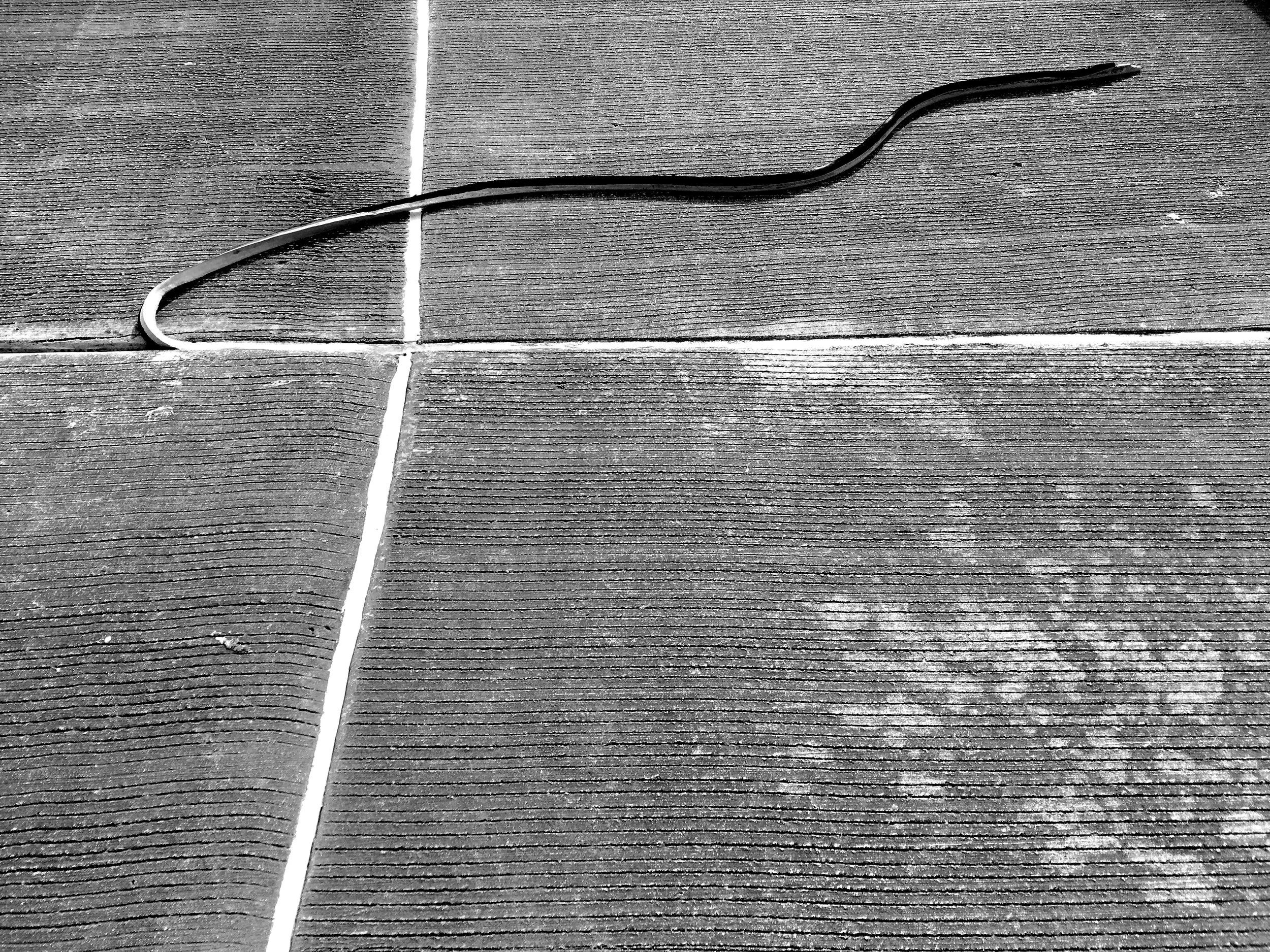 Slither, Chicago IL 2018