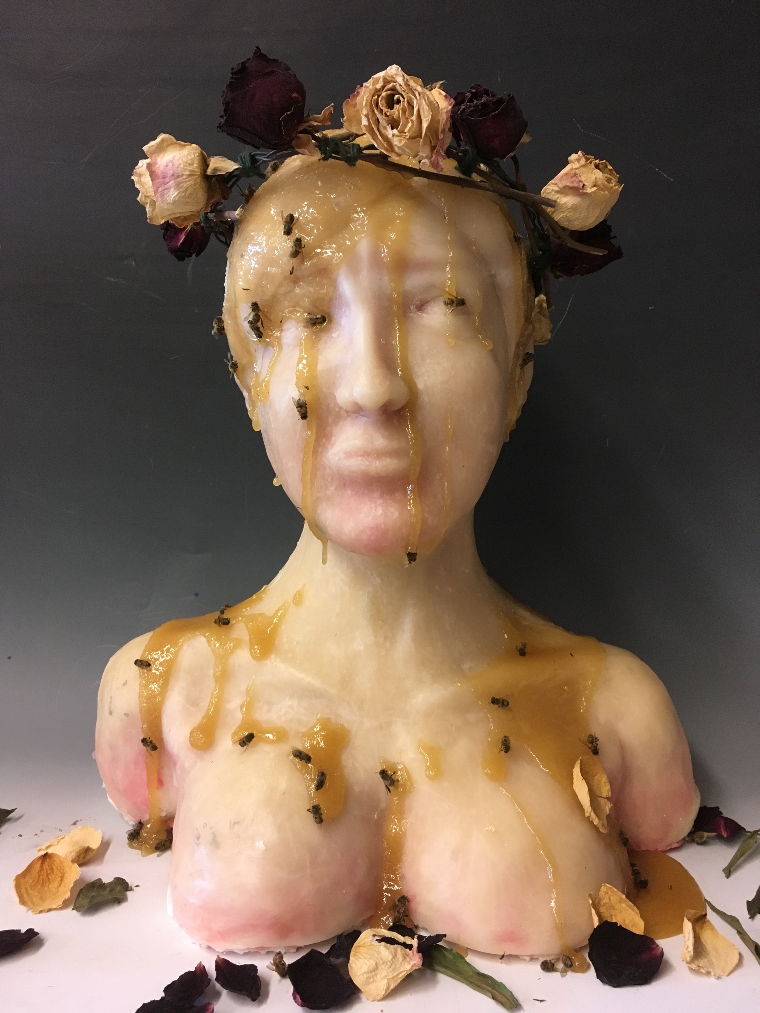 Destiny Zeilinksi, 2017