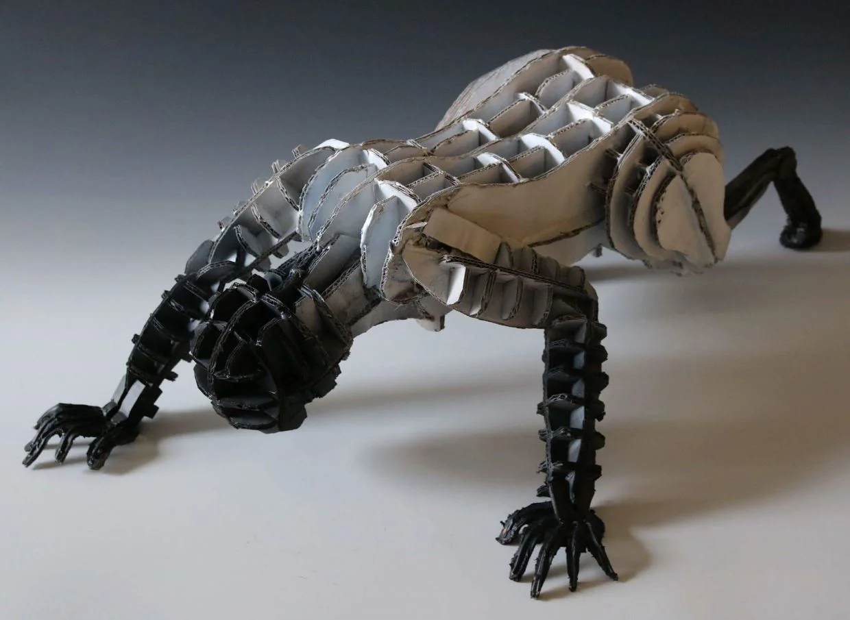 Nicholas Kokoszka, 2018