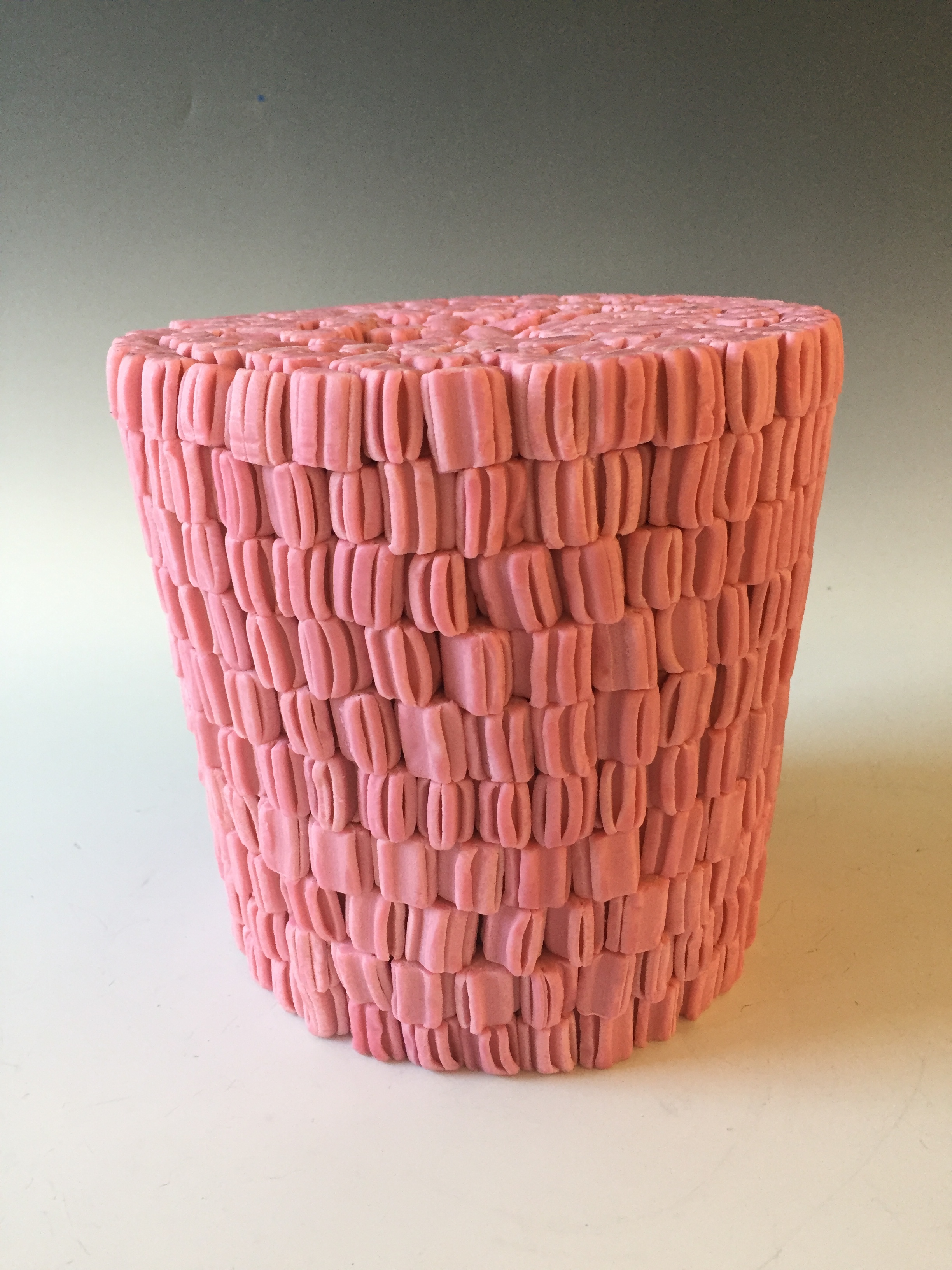 Destiny Zeilinski 2017