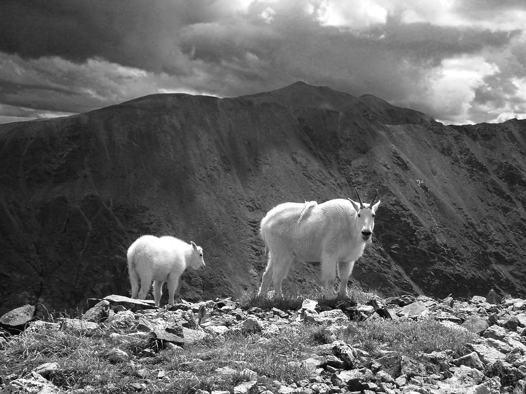 Pike's Peak, CO 2008