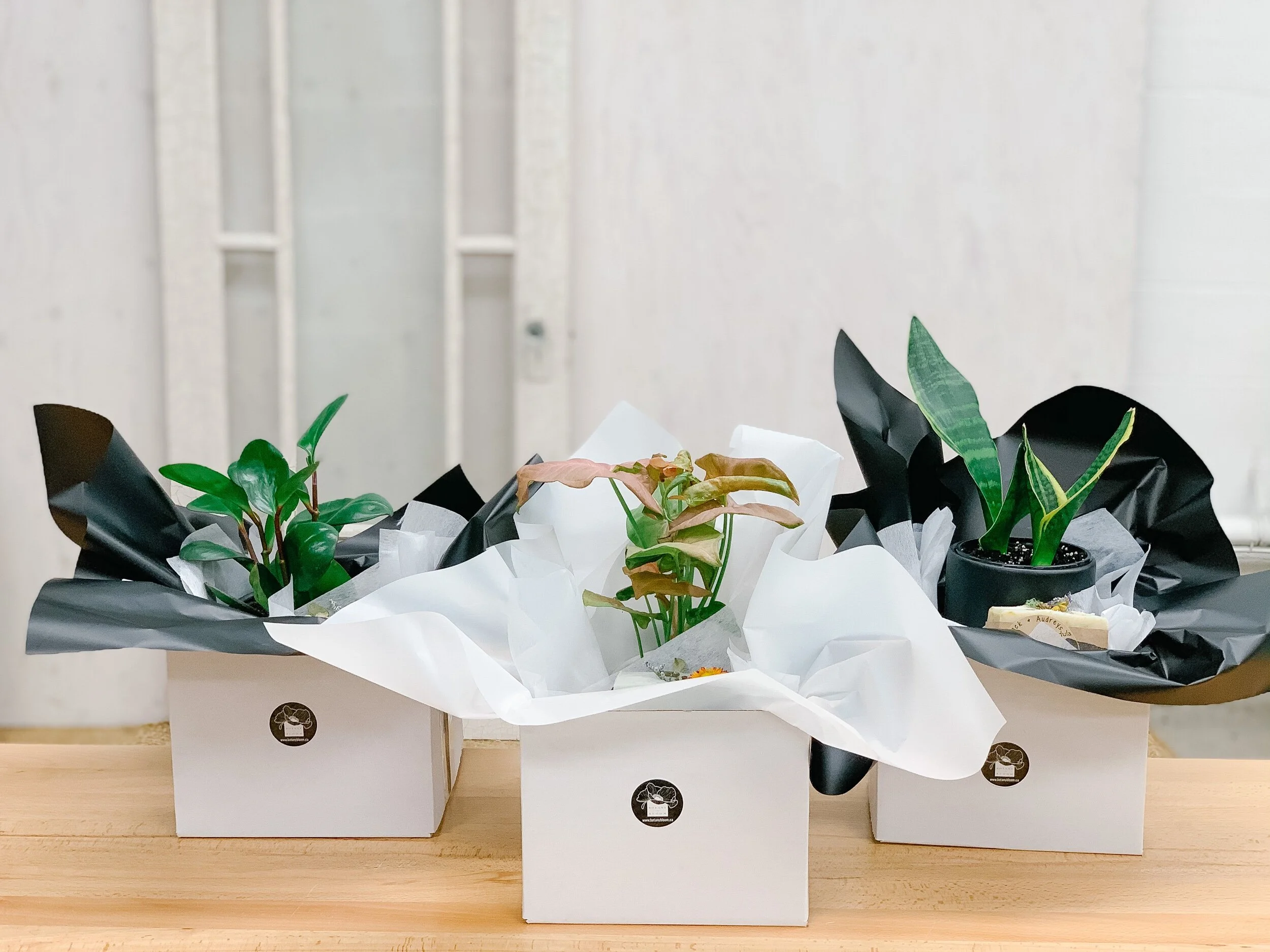 A02AC7FB-A11A-48C0-A38B-785FFDD75D9D