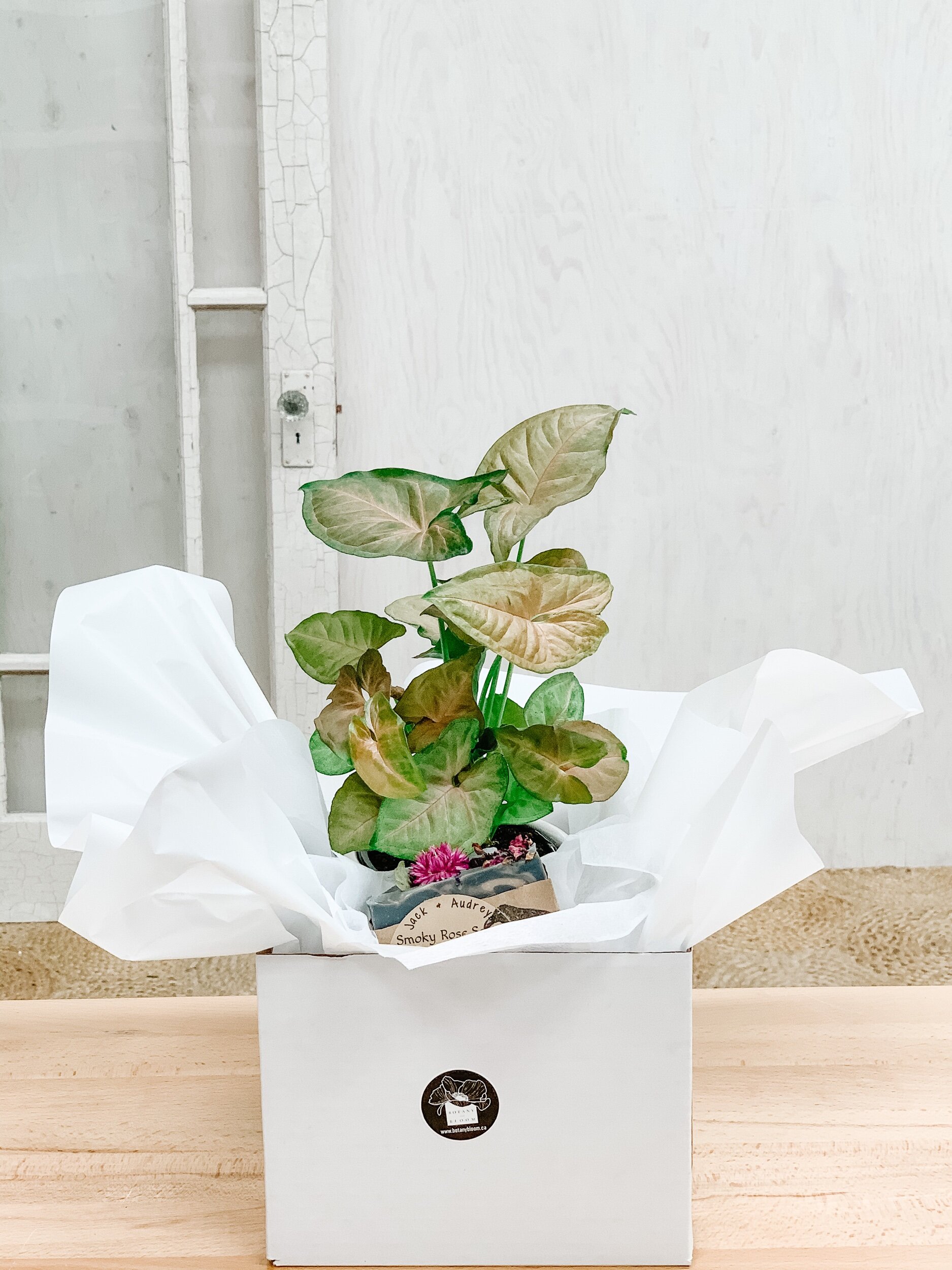 5EA5205A-258D-4135-8847-C440EB166DBE