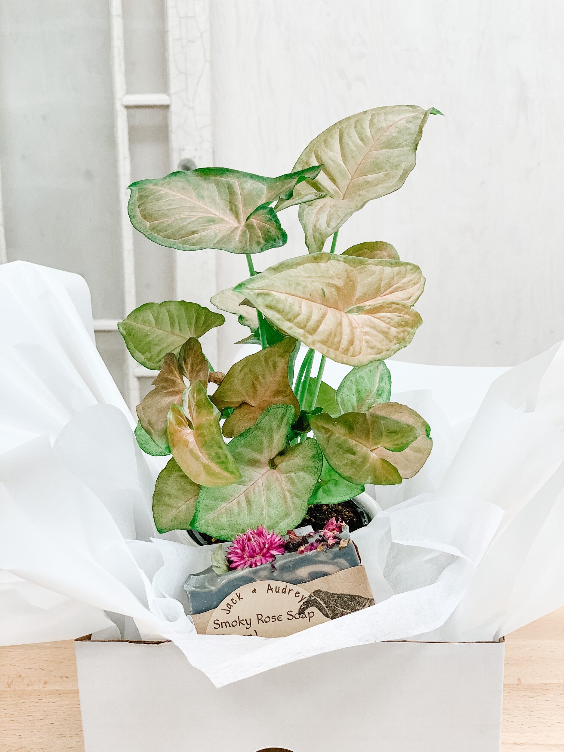 79B7F366-4AD4-4C39-877A-121173D32BC7