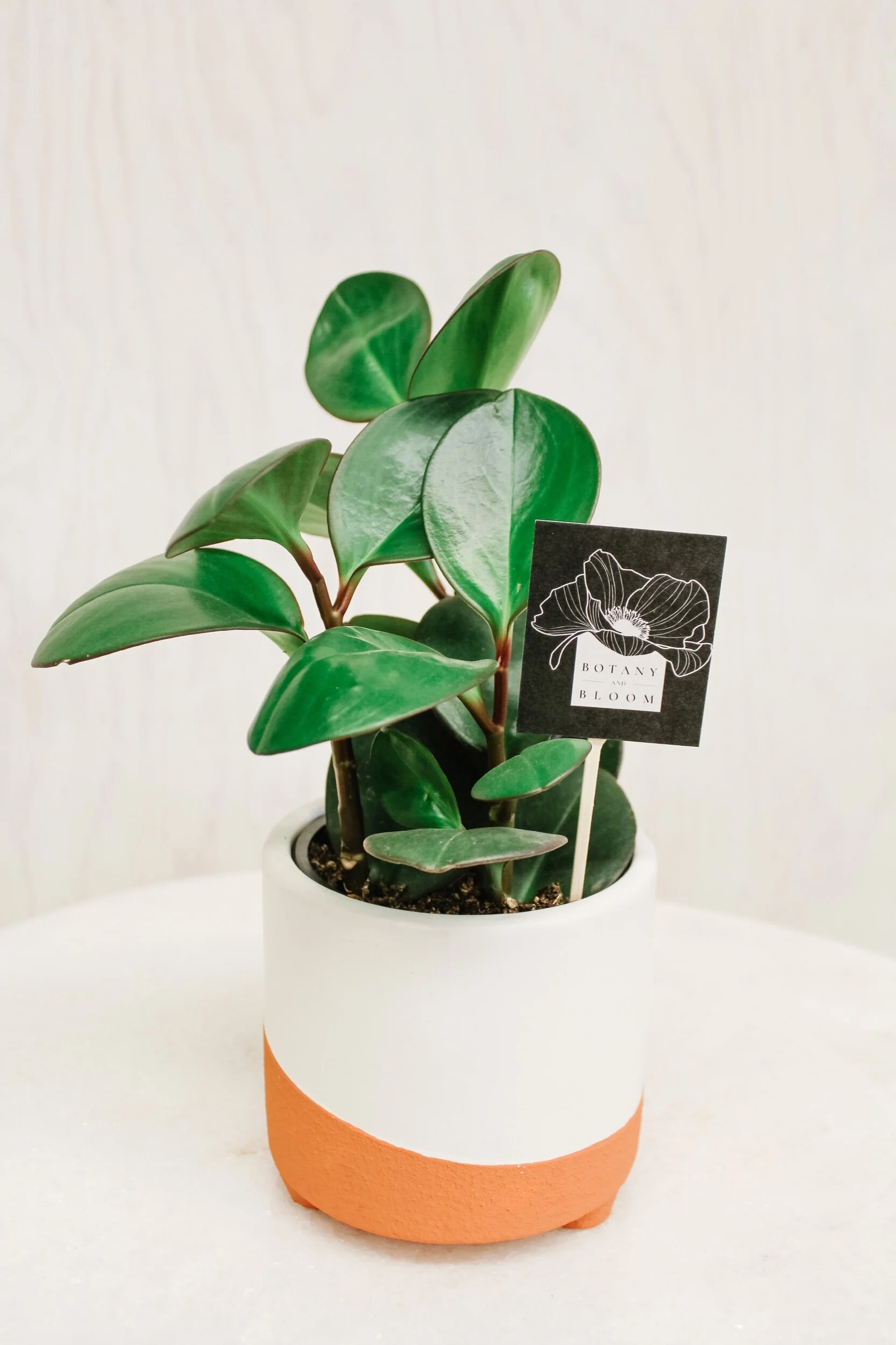 D5B47329-4693-452A-98F2-AEB6DB4836D0