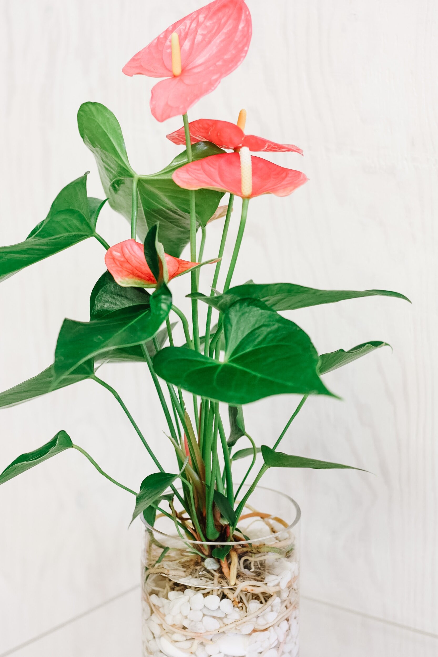 340C14B9-939A-4249-9057-E5ADDA6C7BEF