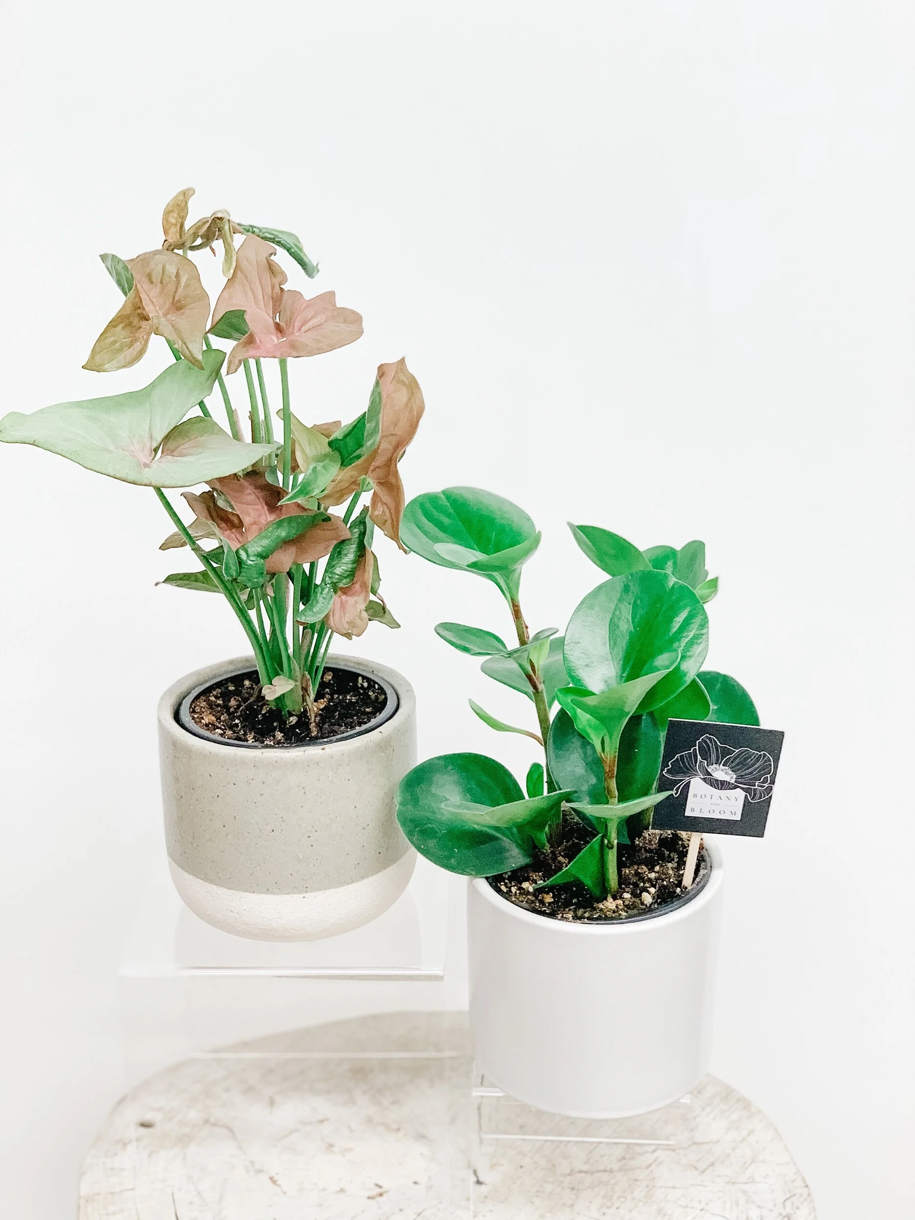 3D3D12E2-AA34-4191-843E-621B3FC2D80B