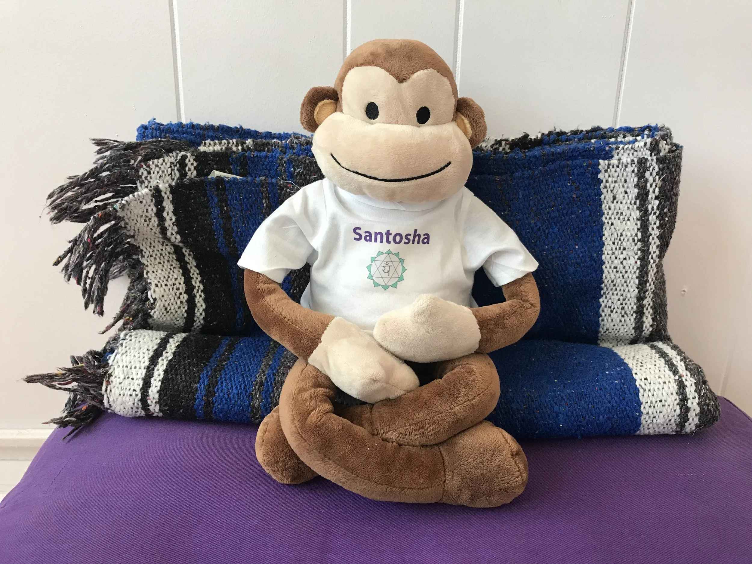 Basic Level Pranayama Class