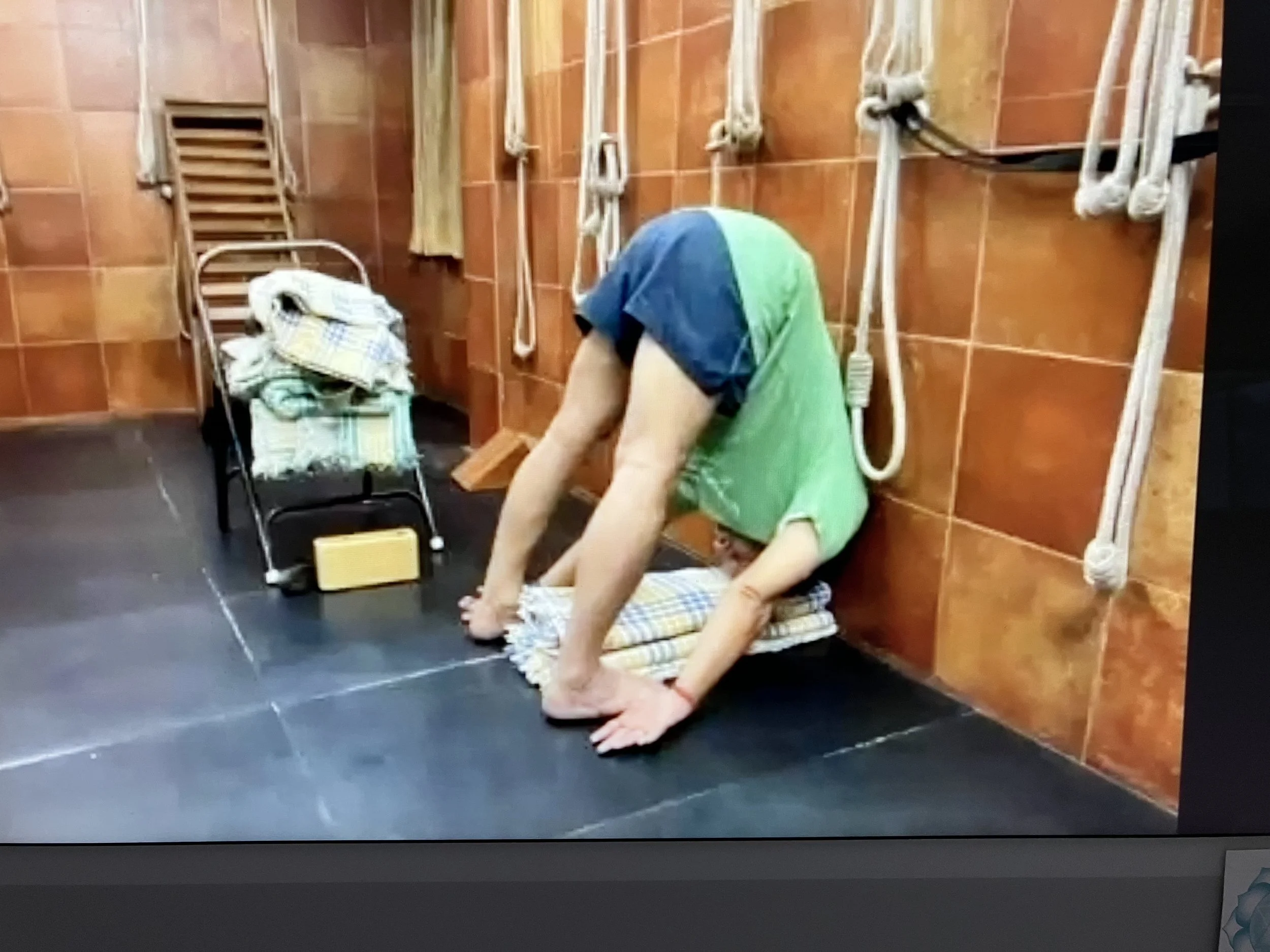 Cooling Forward Bends Lev 2