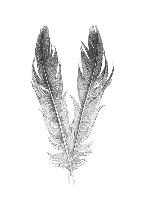 feather-drawing-watercolor-pencil-8.jpg