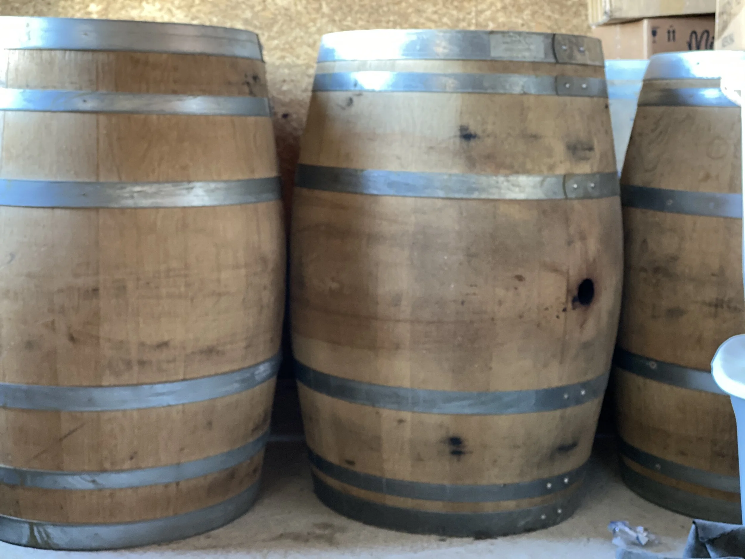 Photo Feb 22, 1 35 38 PM.jpg