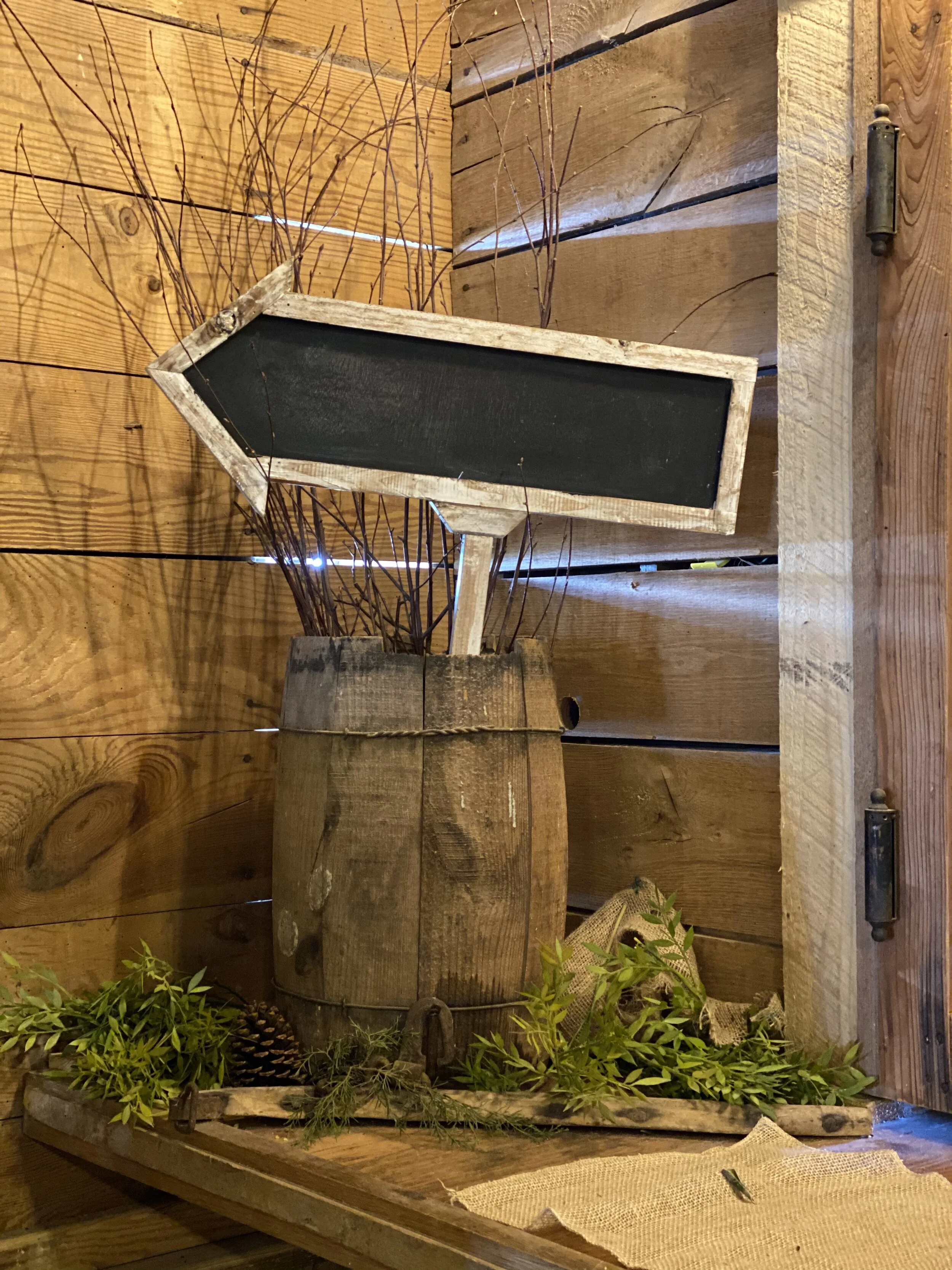 Photo Feb 22, 1 03 02 PM.jpg