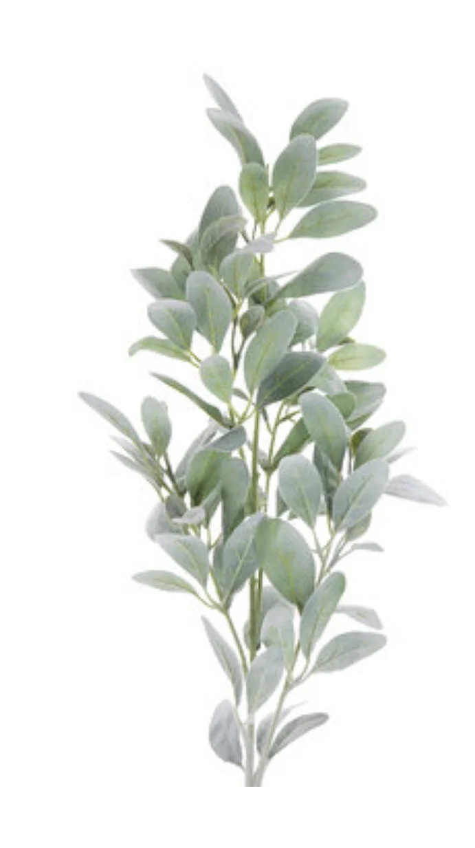 A0A7FF44-4341-4763-A45E-BC9B409937F2