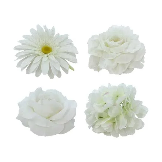 3BE5BC24-1E41-441F-8CEA-D7016AE34450