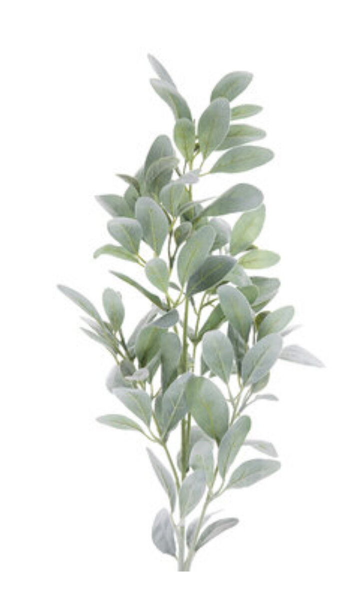 00815664-D3CD-45D3-8478-09CC2AD02A24