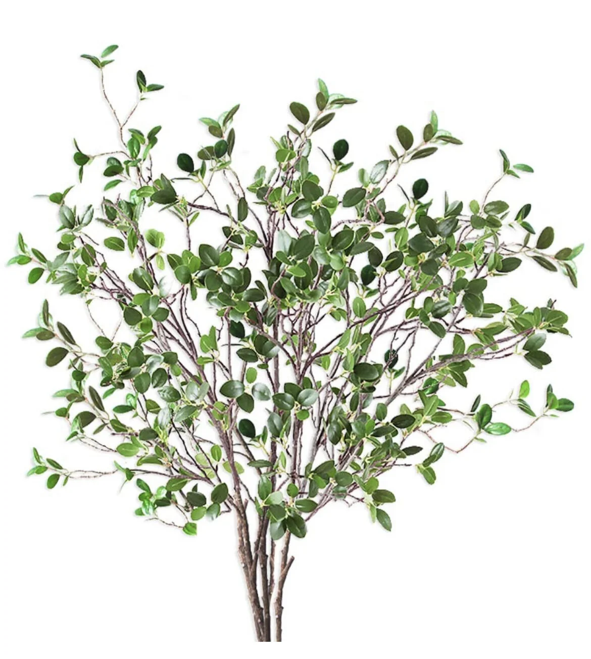 7587B11F-519D-46E4-A338-B6BB23AD2913