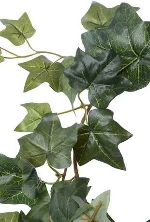 1EC969B9-906C-49BA-99A8-DB09F212459D