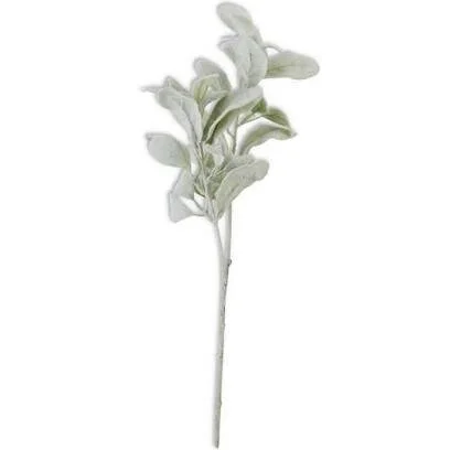 78E016C3-7A3B-4A9F-A520-66EA5CAD48C1