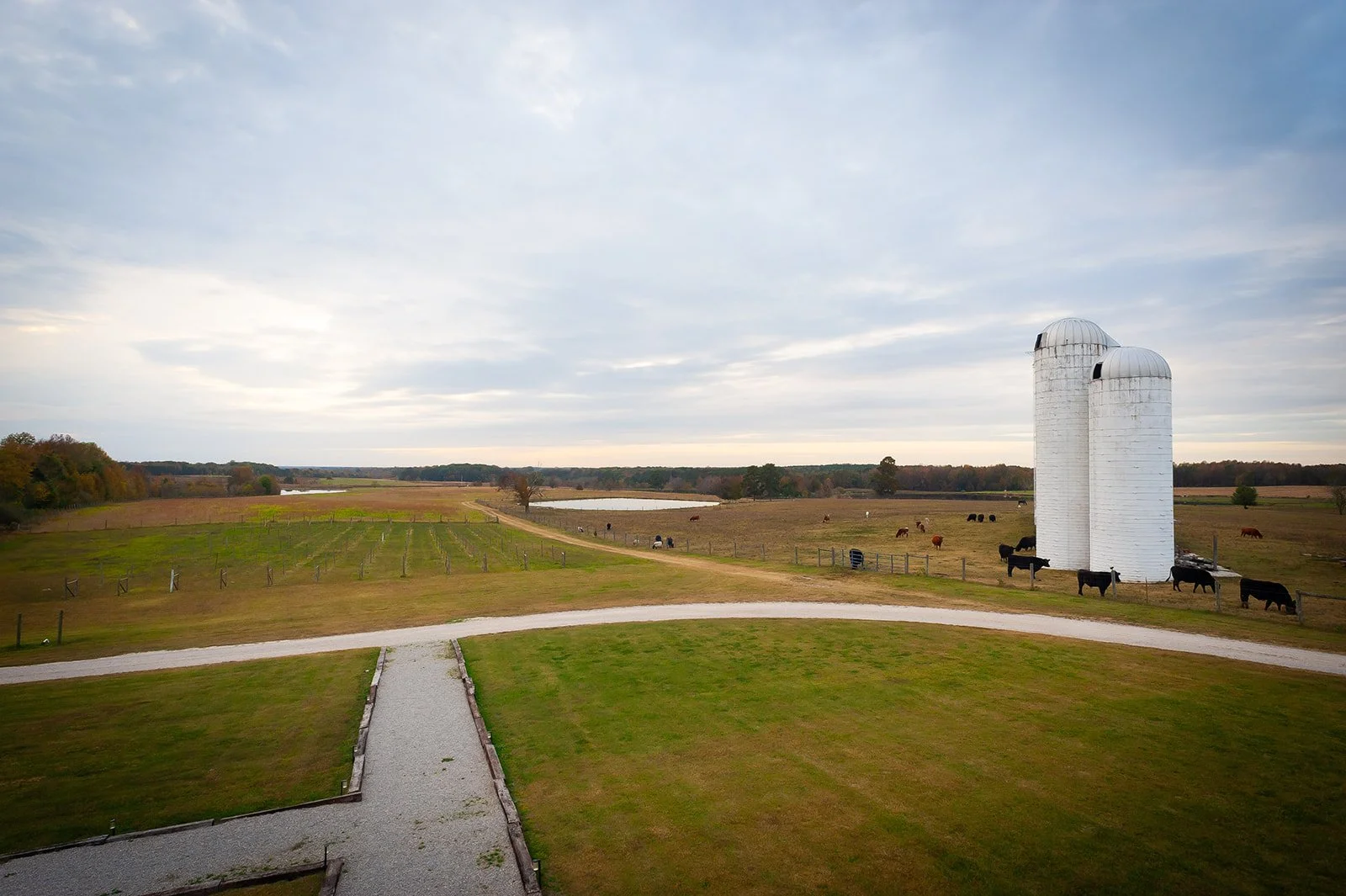 Swg Barn Amazing Couples: Brooke & Jaxson | AMAZING GRAZE BARN