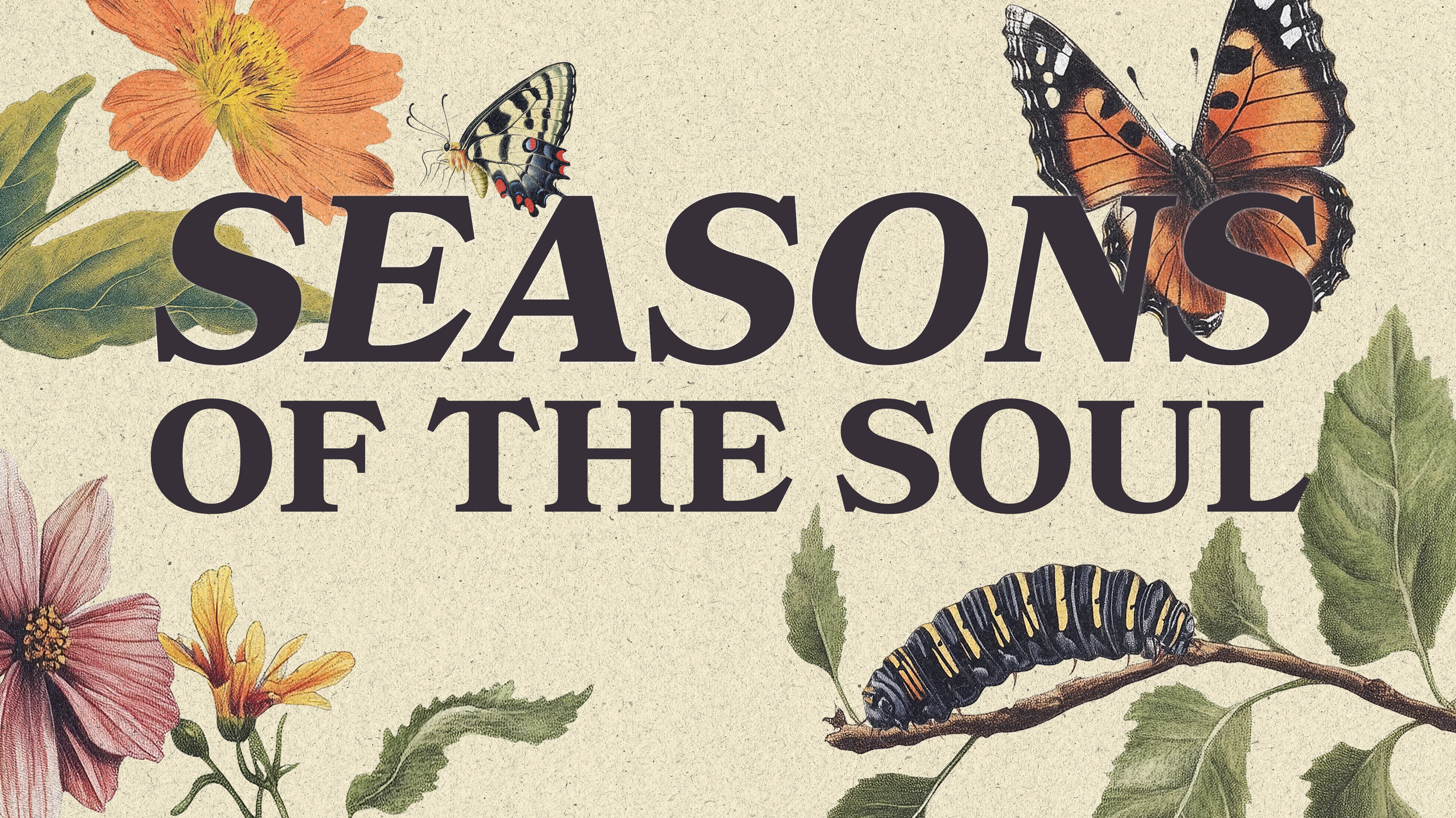 Seasons of the Soul - Week 1: Trusting God Through Every Season