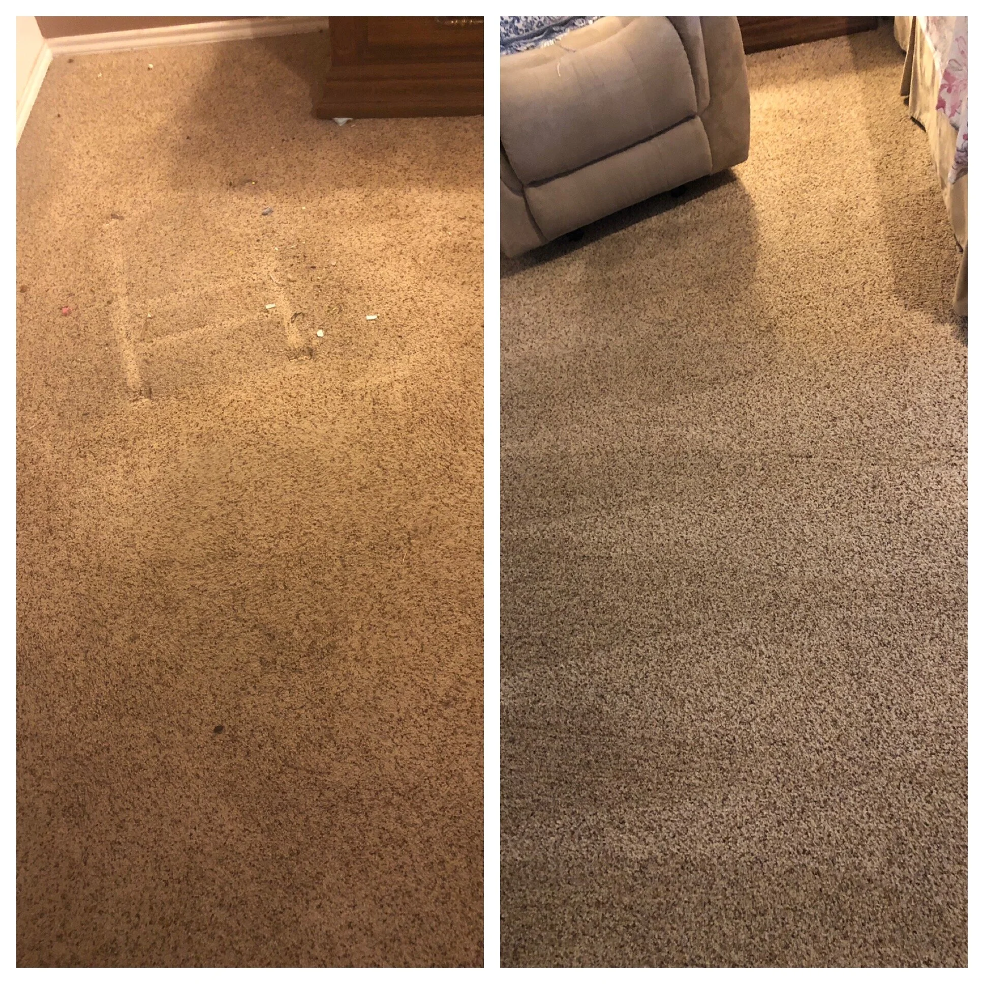 Neatly Done San Antonio