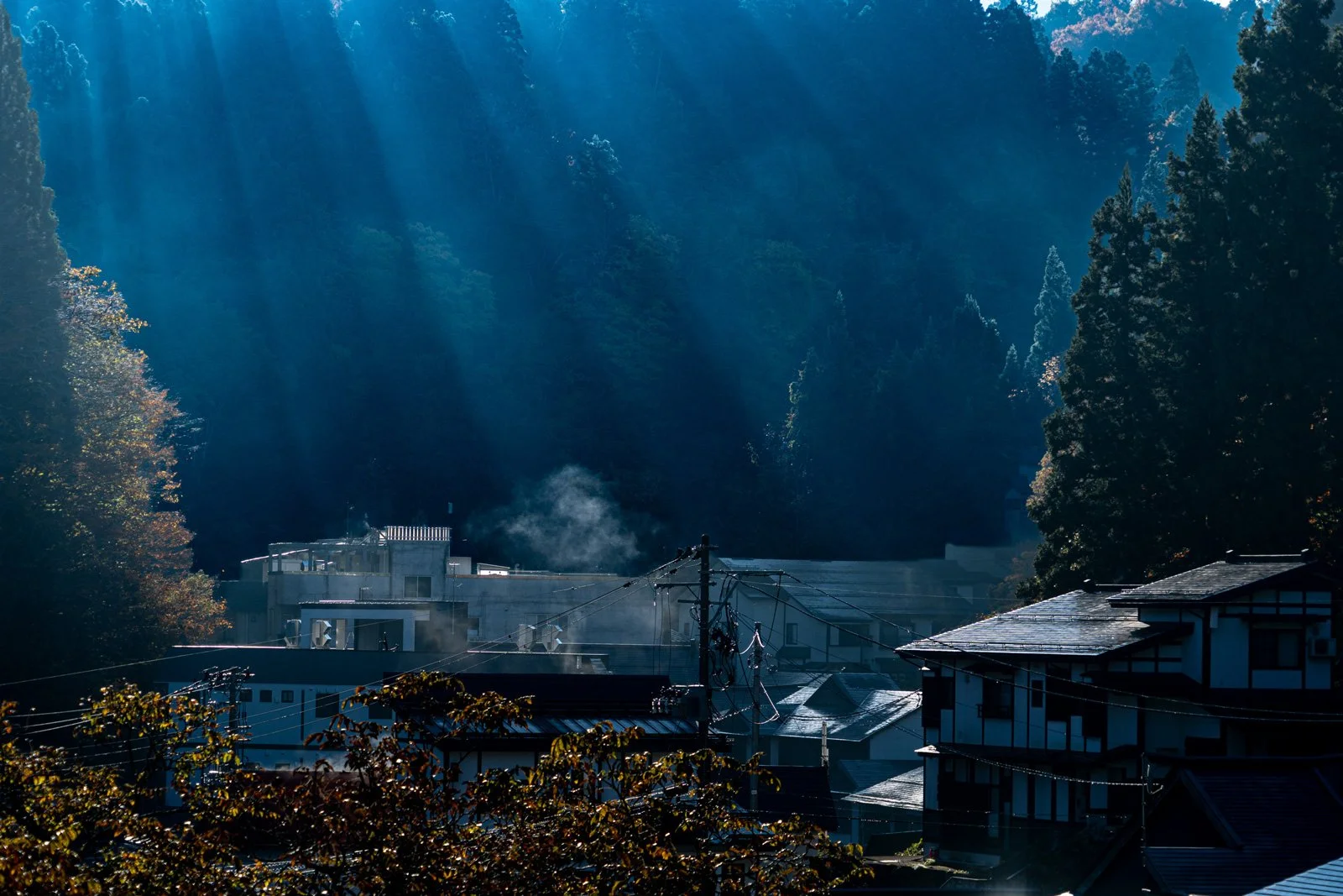 貼近感官聲響的歸零之旅：跟著攝影師 Kai 走進日本東北的安謐秋意