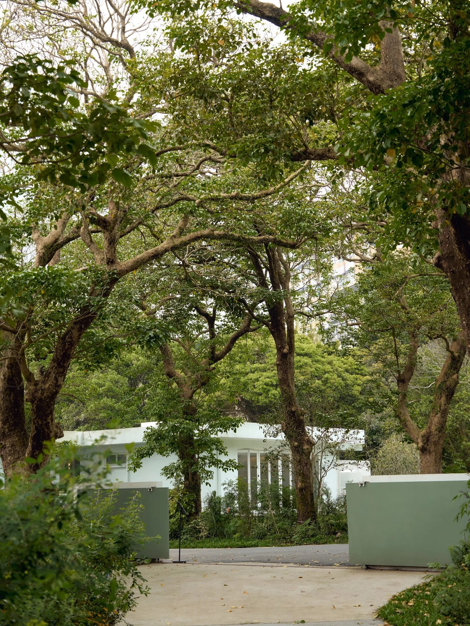 Jamie 專欄 #152｜提早到的那個下午，我在陽明⼭發現了⼀件事