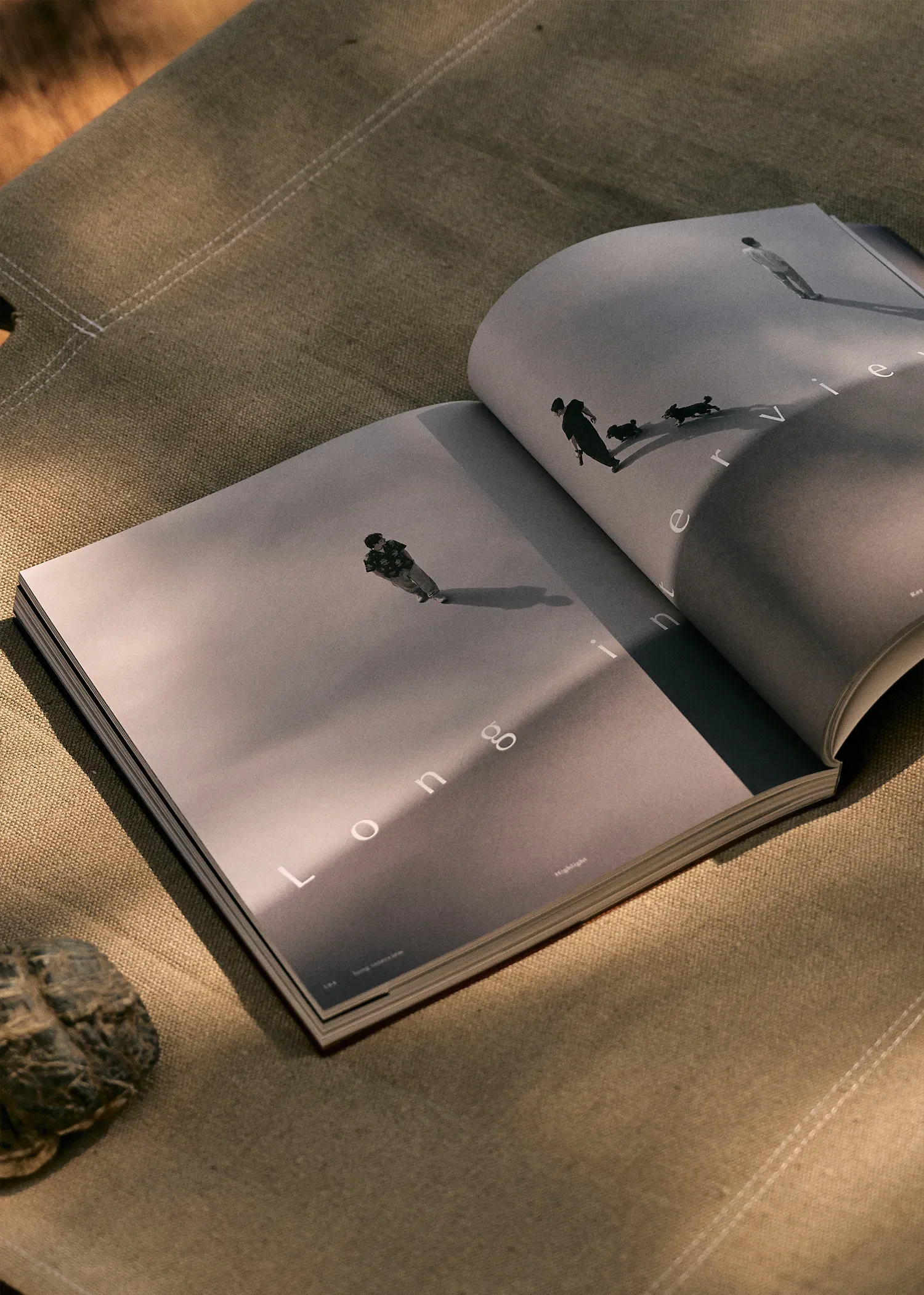 HCSJournal-highlight-04.webp