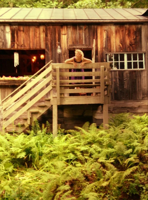 Barn and ferns.jpg