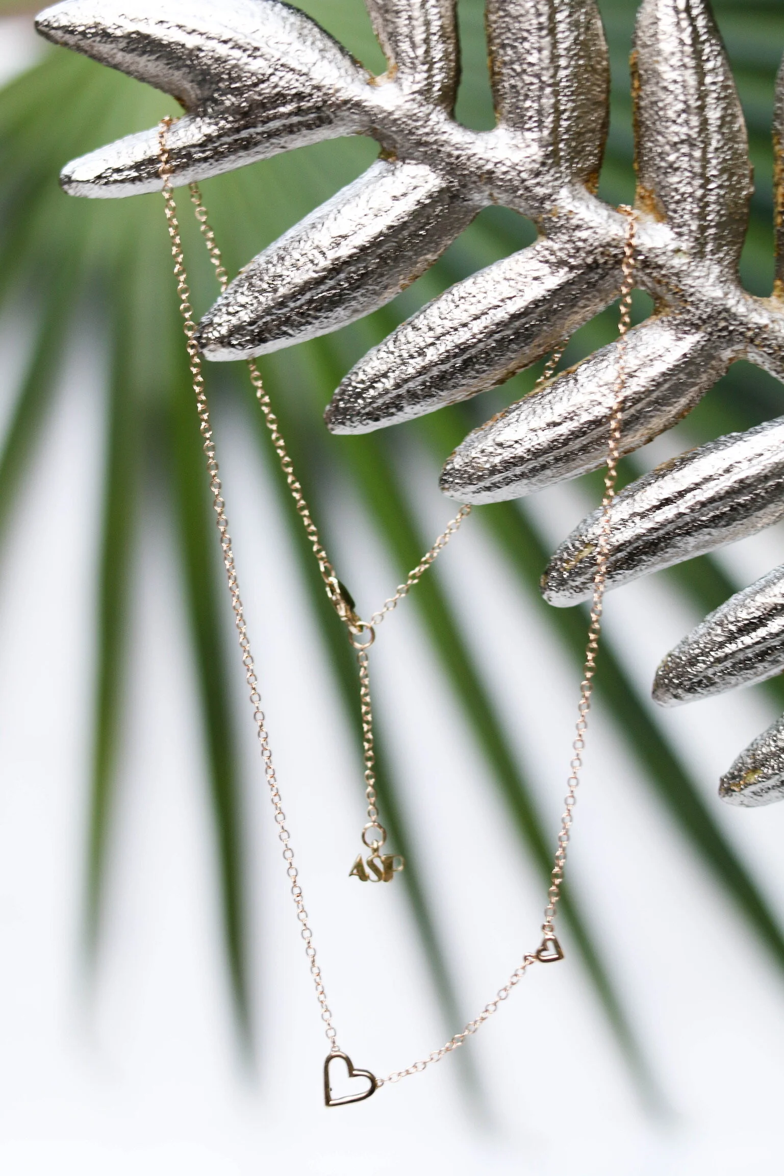 21D4BD04-695C-47F3-A556-C0A749CD0C96