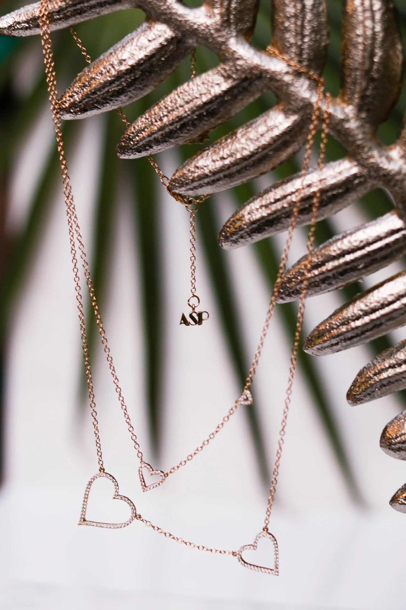 6B25B370-D062-4055-9A7B-B9DFD259DC7B