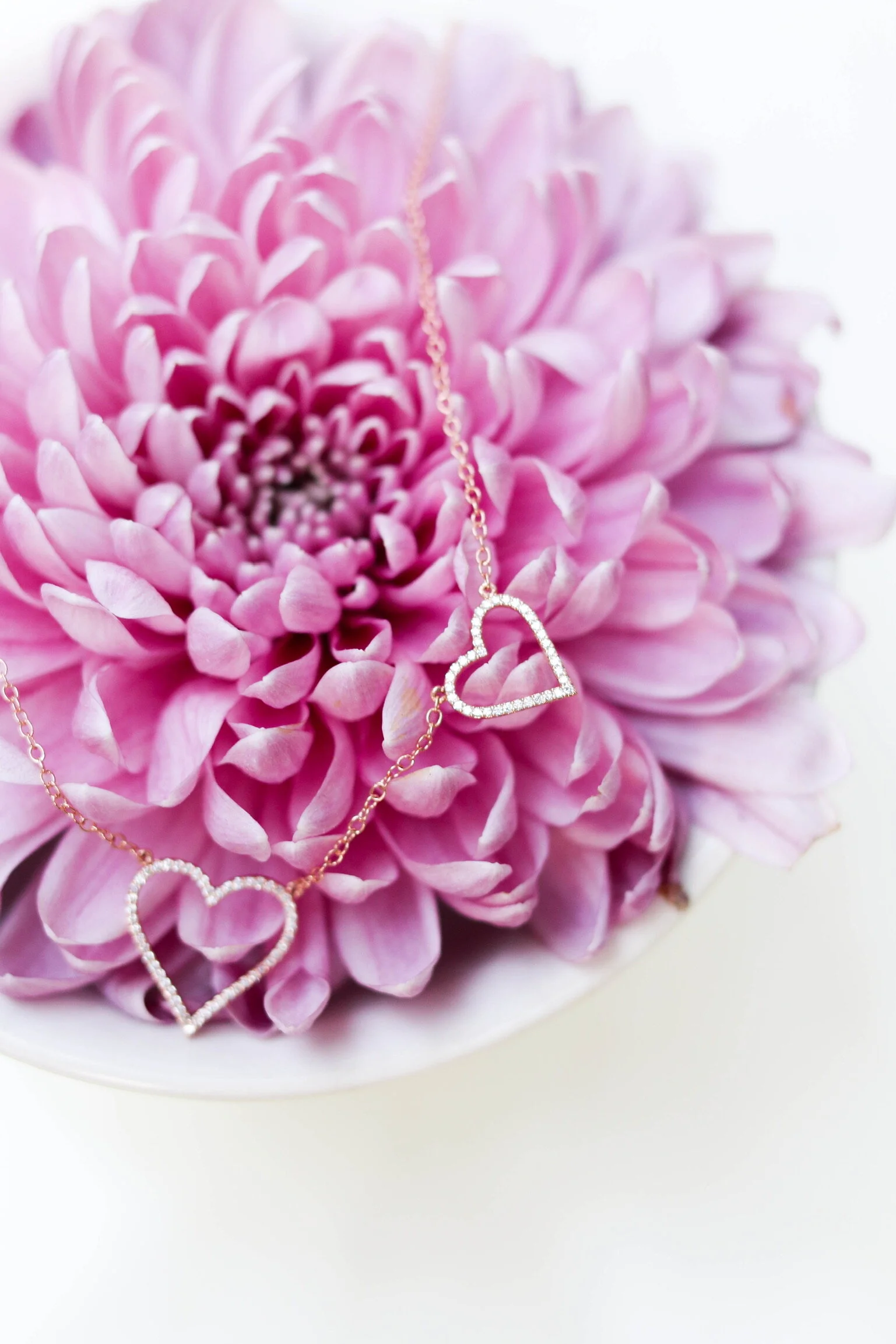 376AD6D8-C94C-4F86-81F1-6087055D6D67