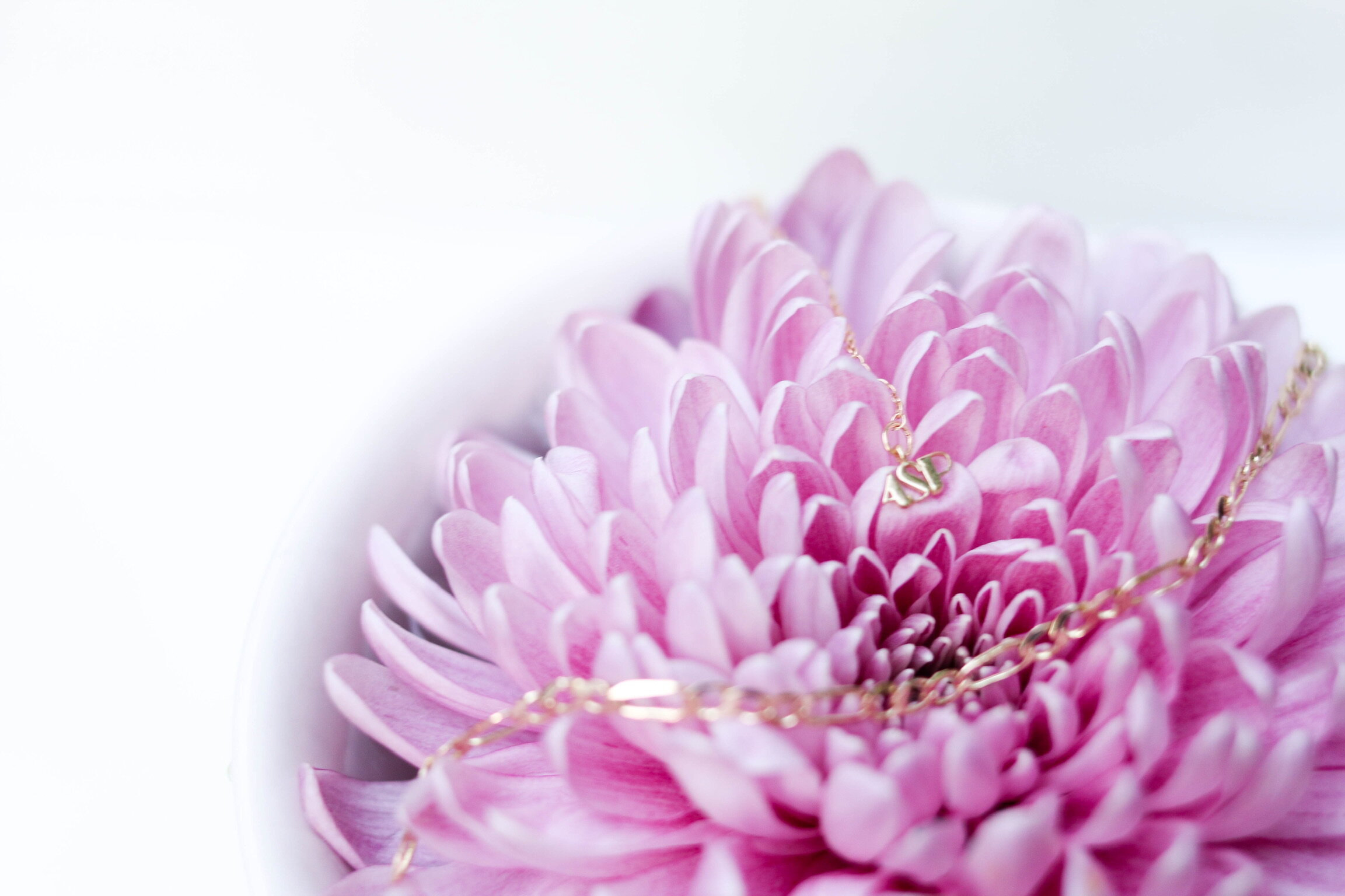 346D94B3-B4C0-44DF-9A8F-7EB9B2F587DC