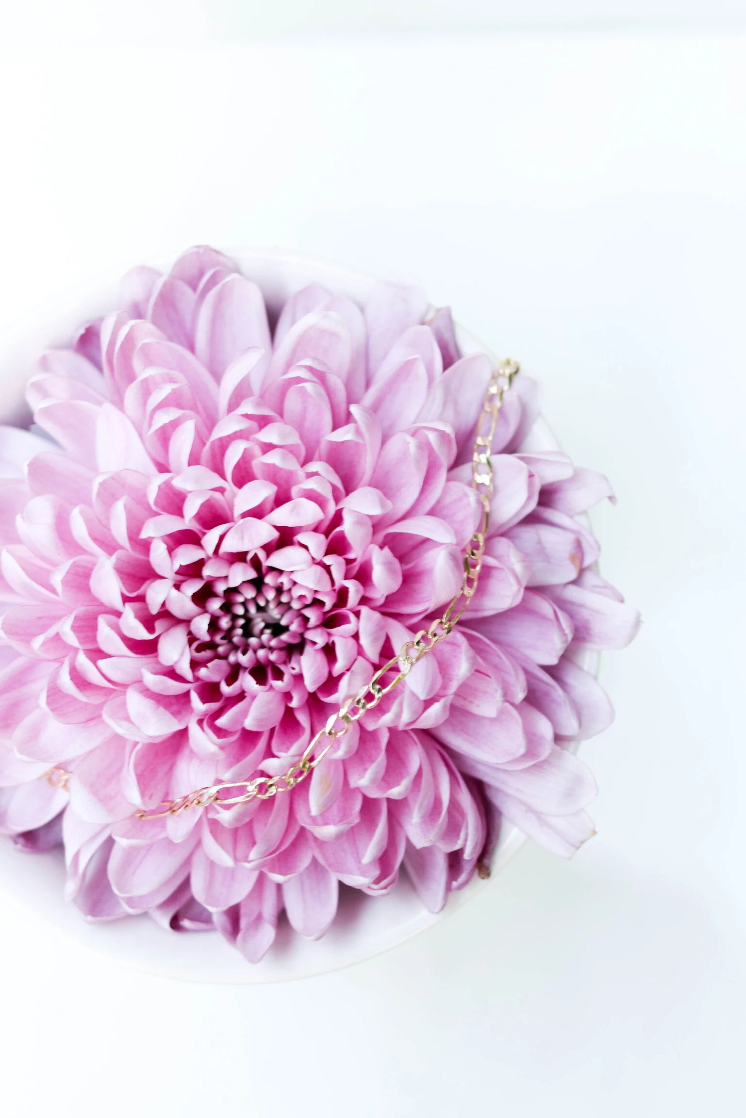 31DBCE6F-8BFE-4706-AFAE-DB59628C3FB3